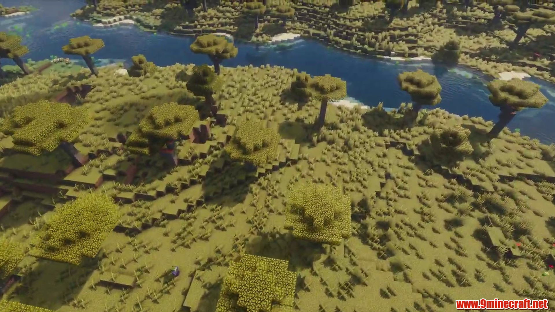 Flat savanna island in Minecraft seed -1338670103889241052