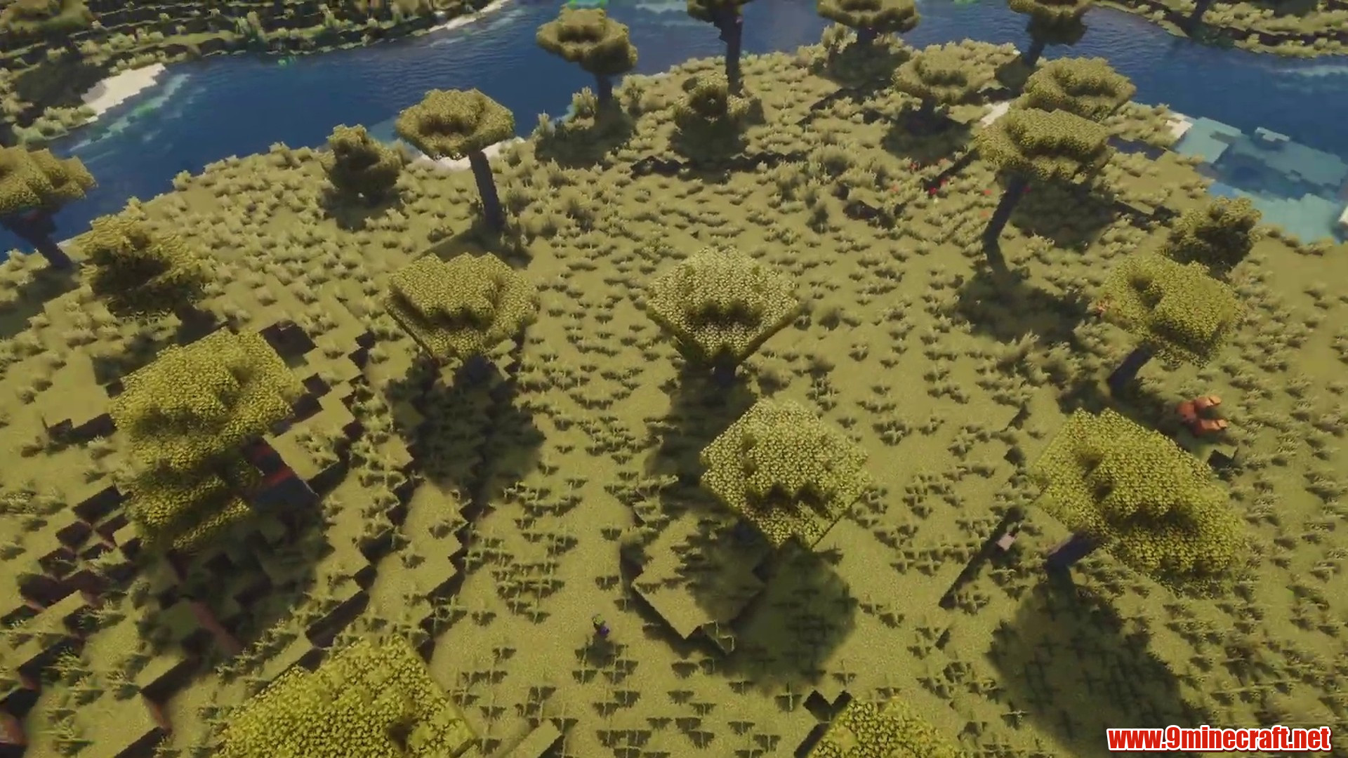 Open island terrain bordered by water and savanna trees