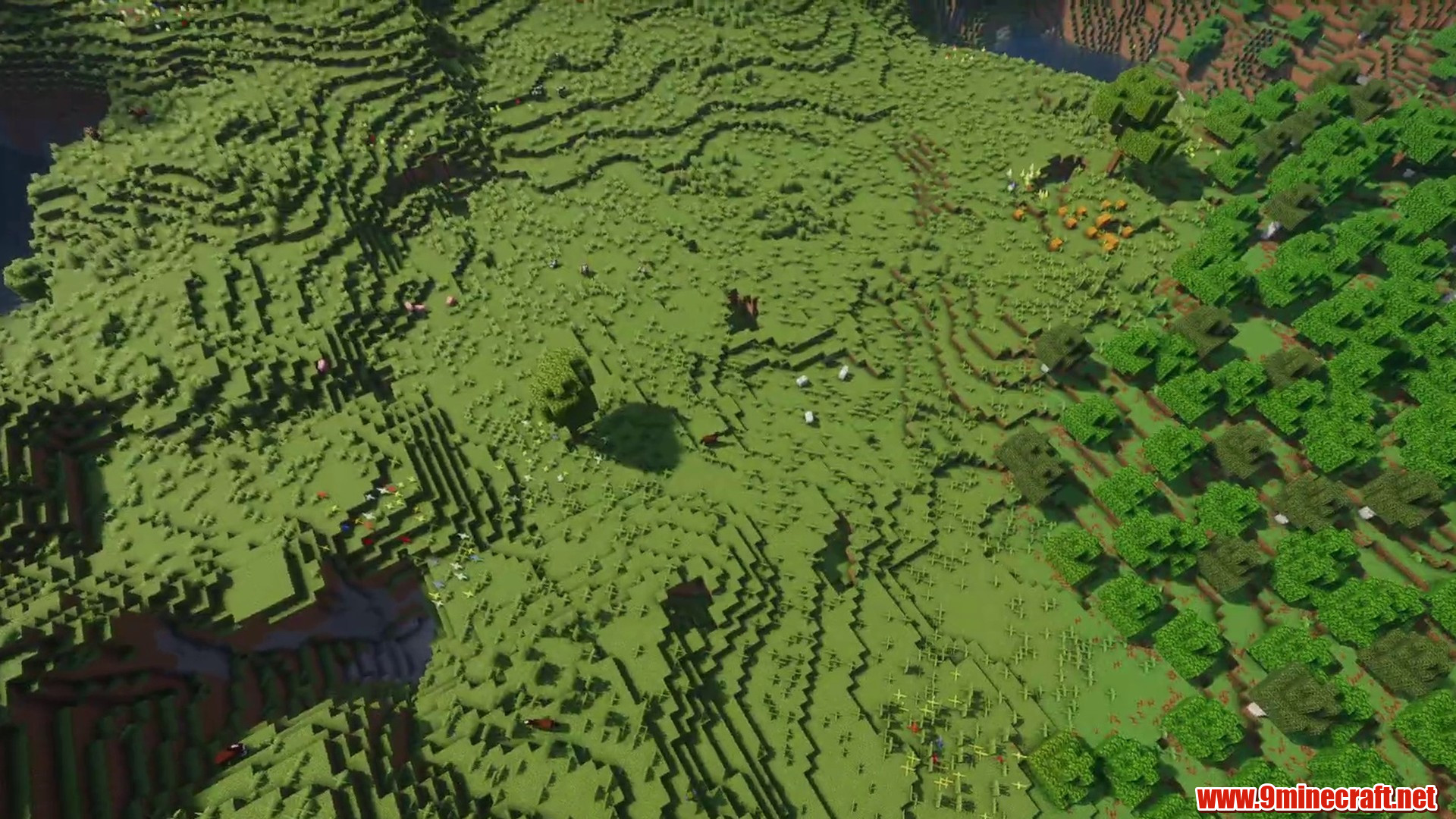 Cherry grove hills above a green building valley