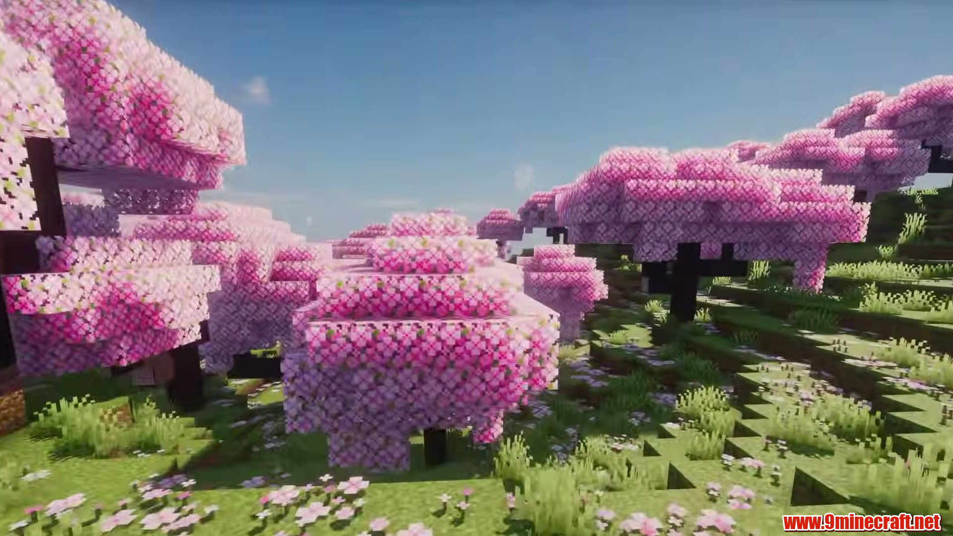 Flat Double Village Plains in Minecraft seed 2335743146397639954
