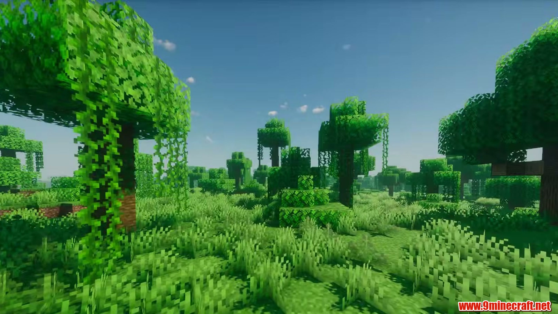 Jungle Village in Minecraft seed -5428605412622482864