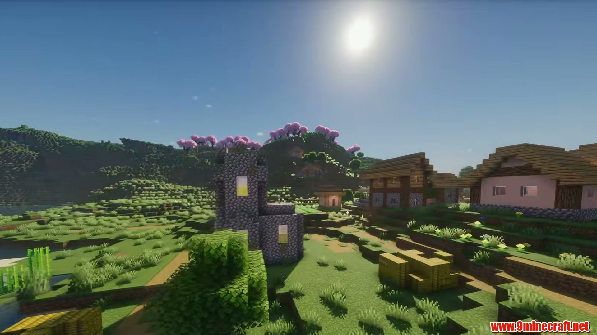 Sakura Hill Village in Minecraft seed 6416125954217004469