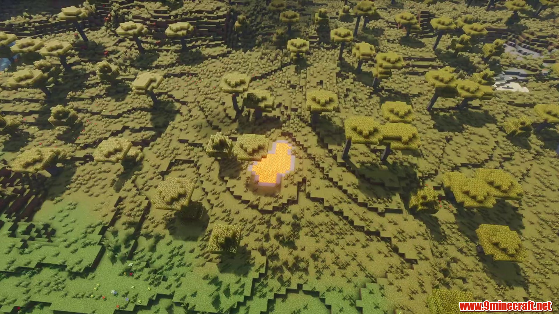Large Flat Land Seed in Minecraft seed -3260665464552445140