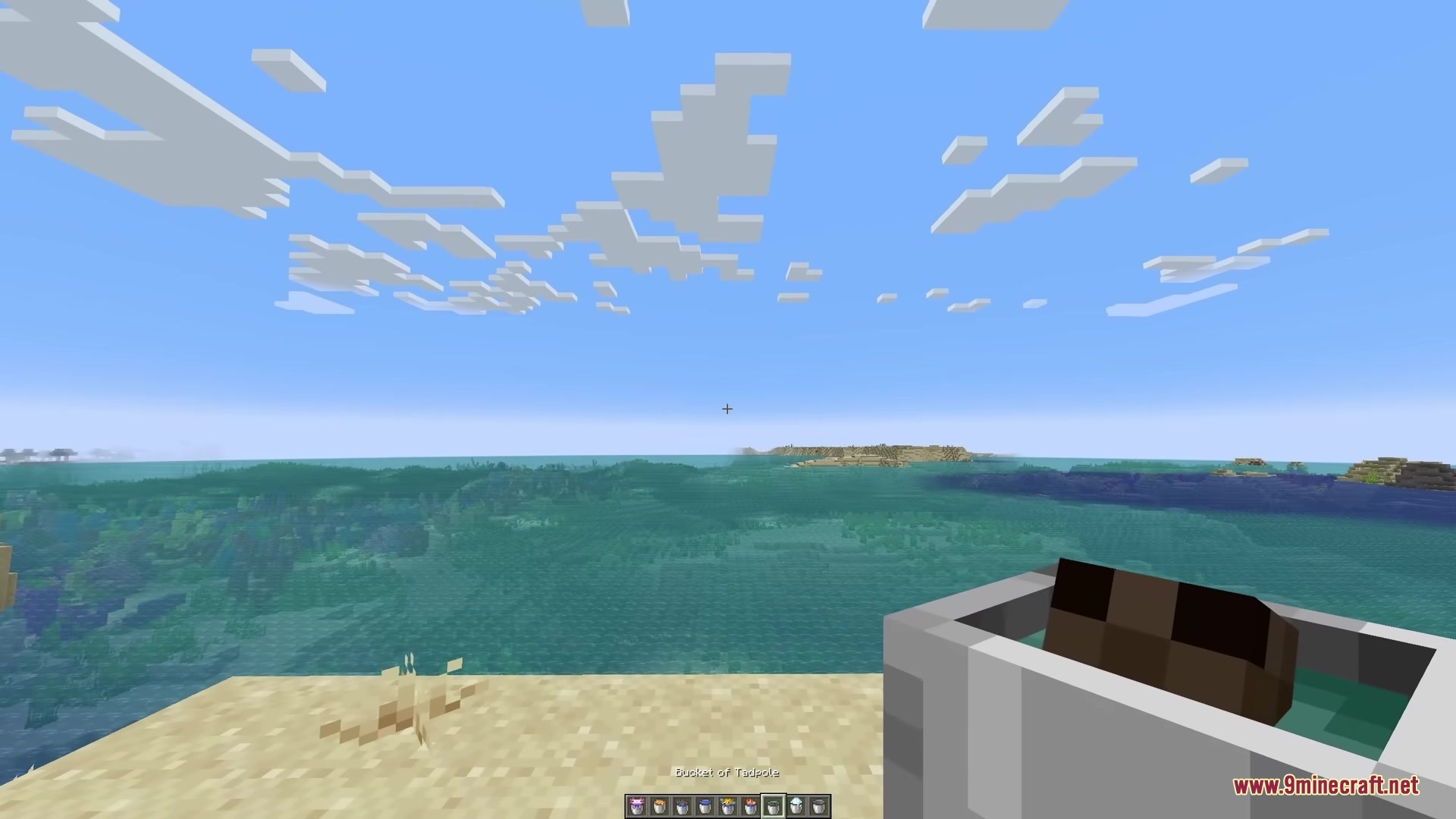 3 D Buckets Resource Pack Screenshot 4 Player holding a 3D bucket with a tadpole overlooking the blue ocean