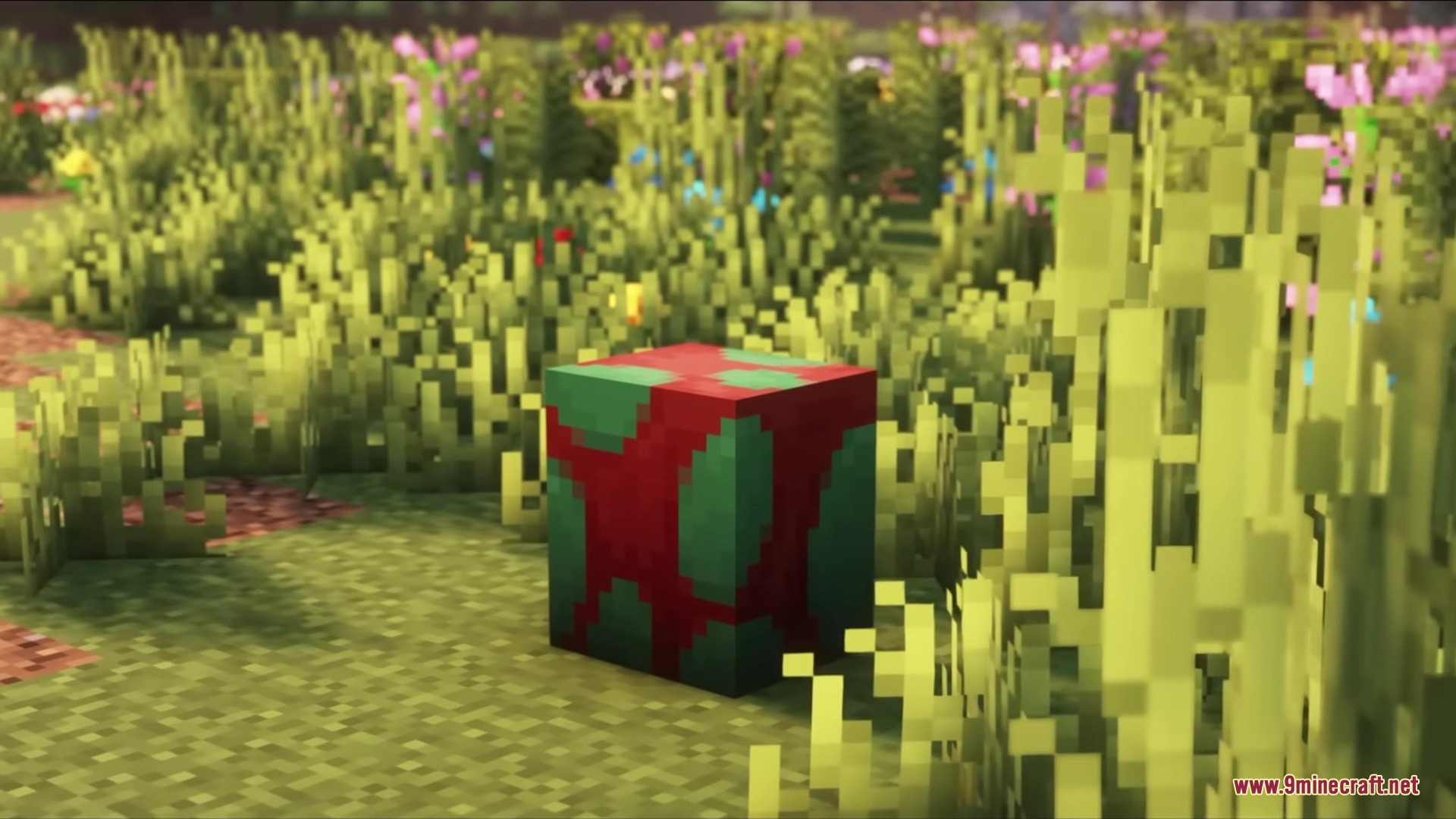 3d Animated Doors Resource Pack Screenshot 5 A red and green Sniffer egg block sitting in a flowery field