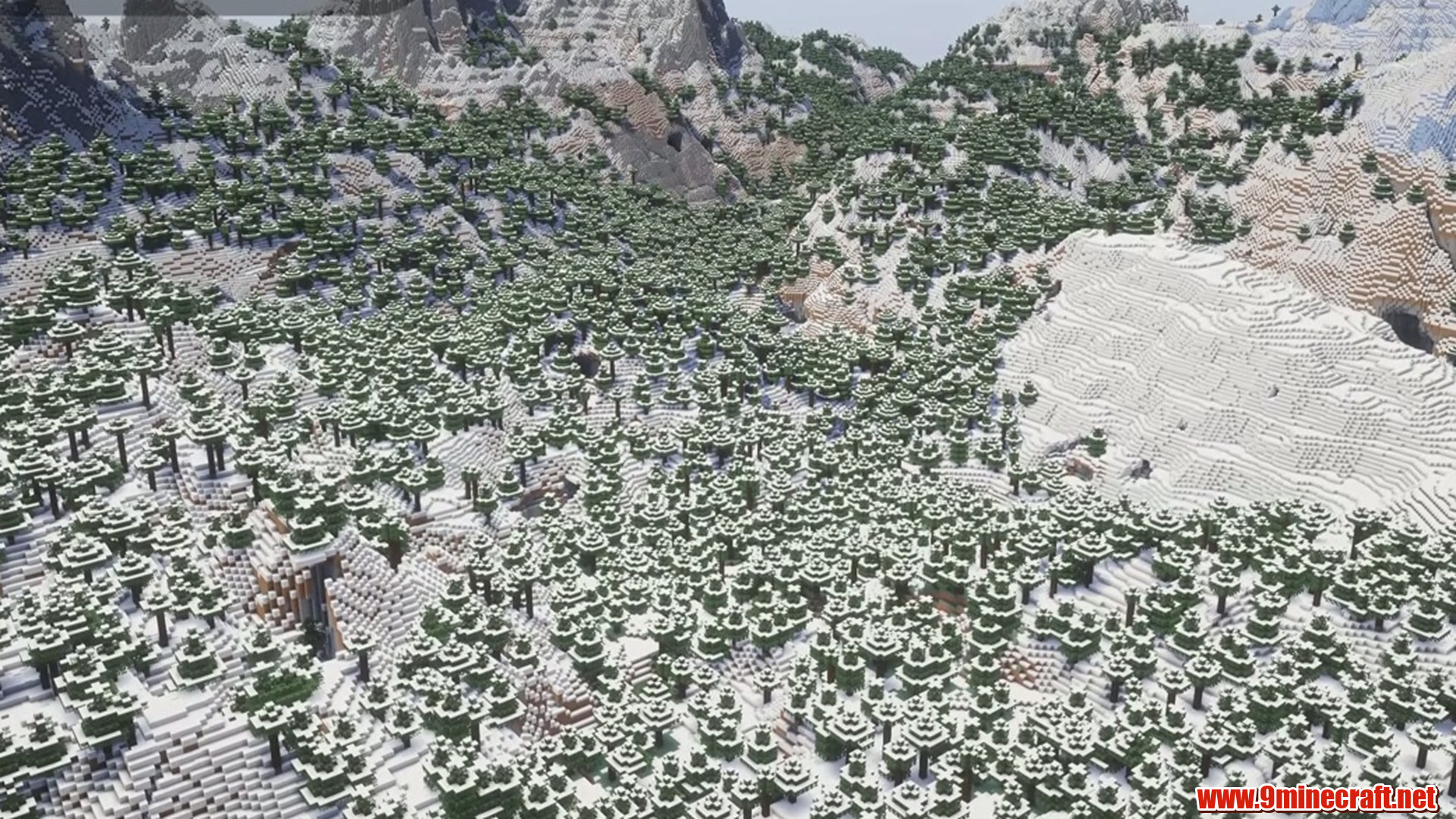 Massive winter grove biome in Minecraft seed 1175403424505877215