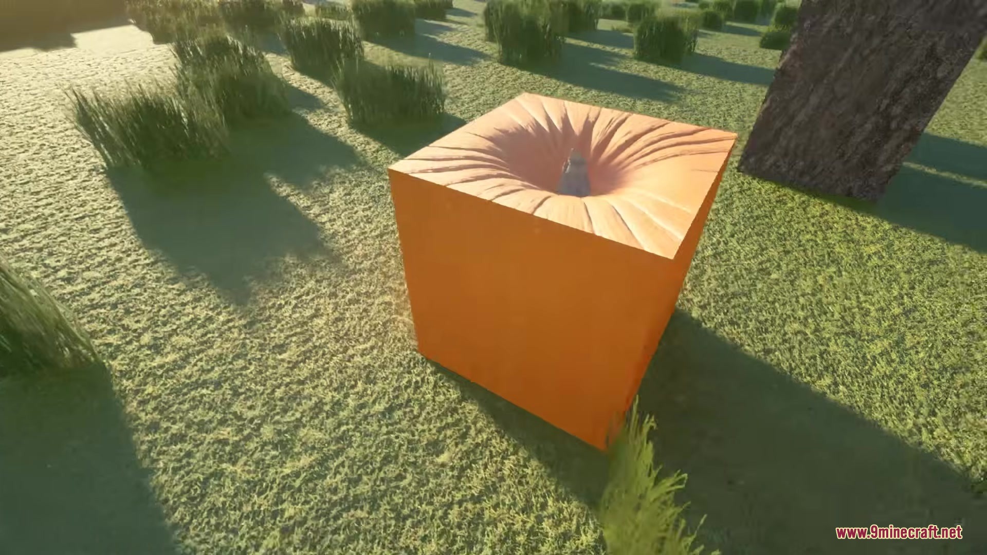 A BTV Texture Pack 64px Full 3 D POM Resource Pack Screenshot 1 BTV Texture Pack adds a deep 3D hole to the orange block