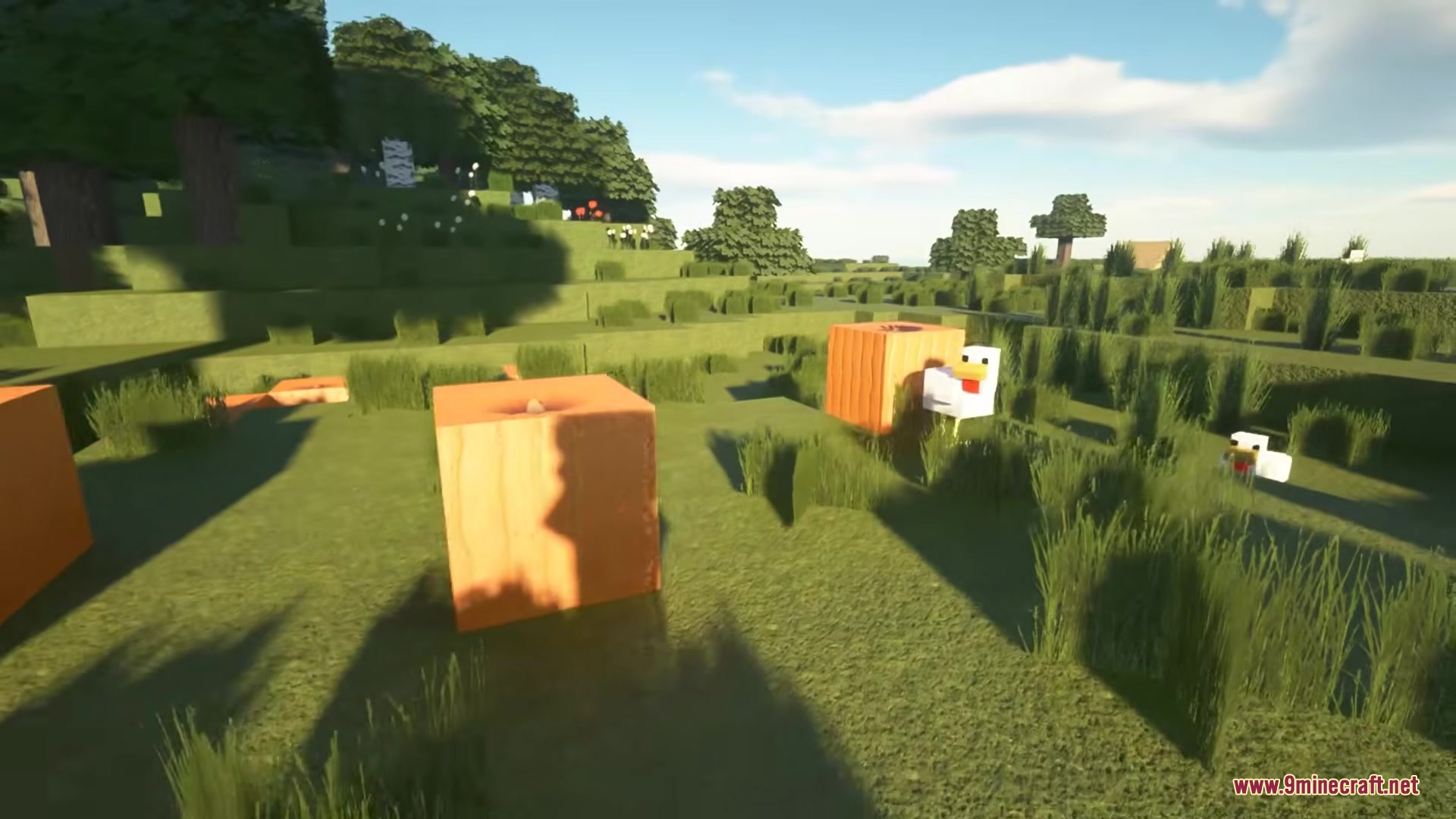 A BTV Texture Pack 64px Full 3 D POM Resource Pack Screenshot 2 Chickens walking near orange blocks in a grassy field with realistic lighting effects