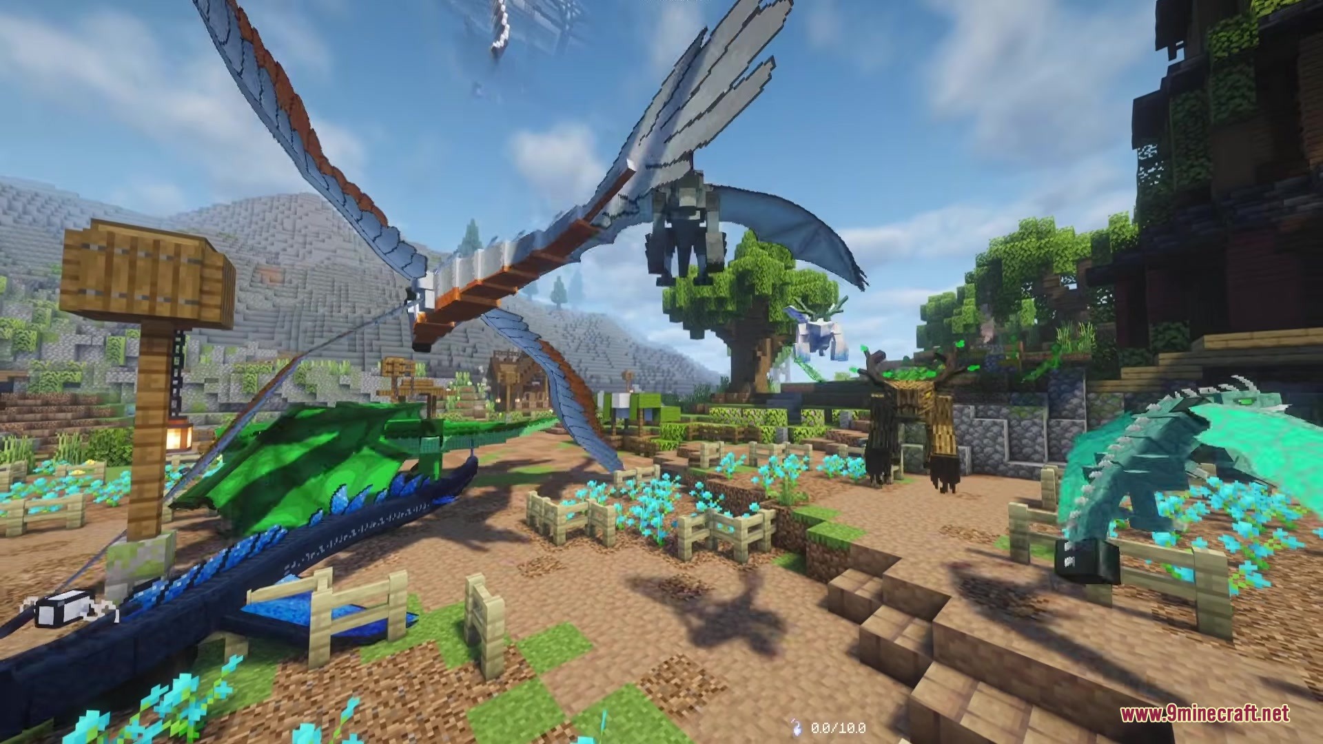 Various colorful dragons gather in a village with blue flowers and fences