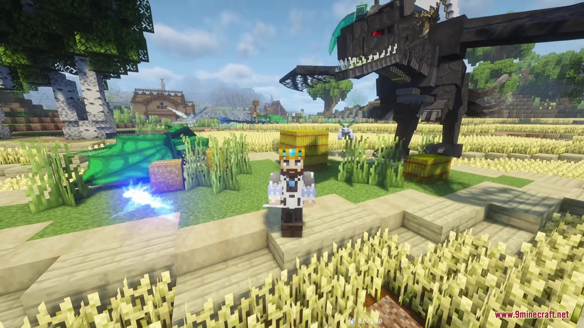 A crowned player poses with a massive black dragon in a wheat field
