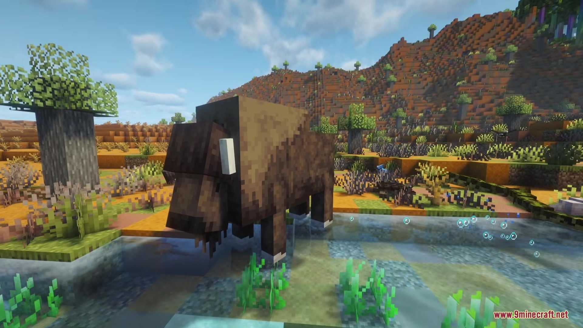 A large brown bison standing in shallow water in a savanna biome