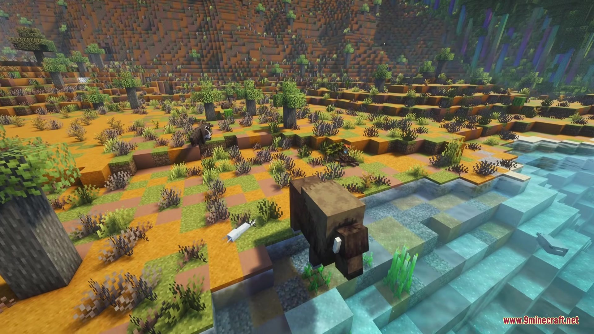 Elevated view of a bison standing near a river in a savanna