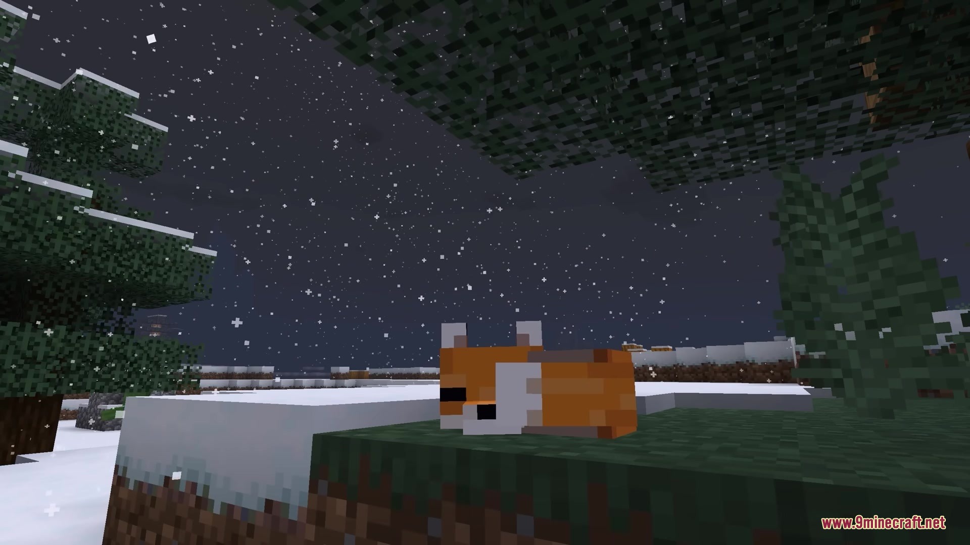 A sleeping fox on a grass block during a snowy night in Minecraft