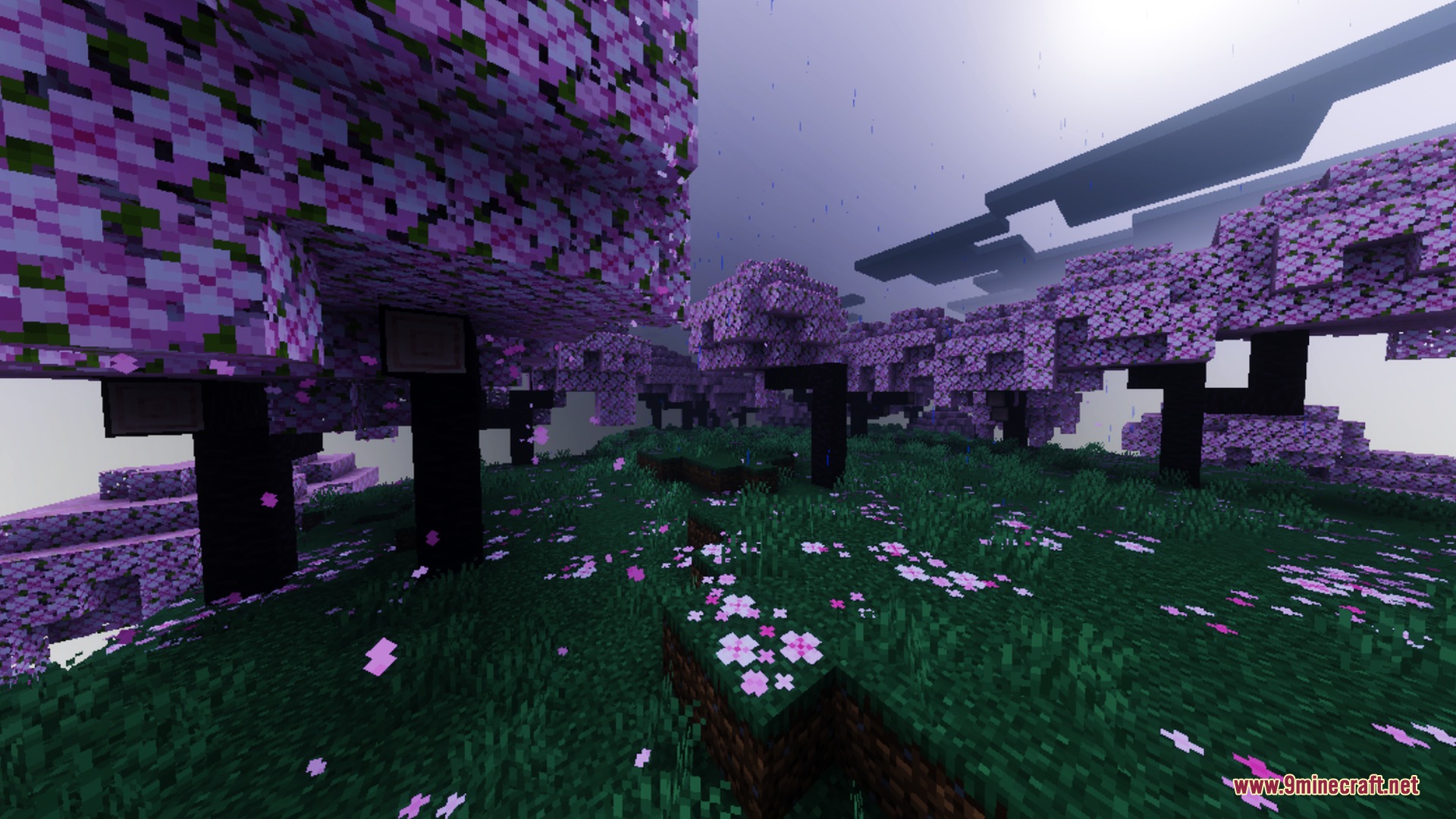 Anima Shader Screenshot 1