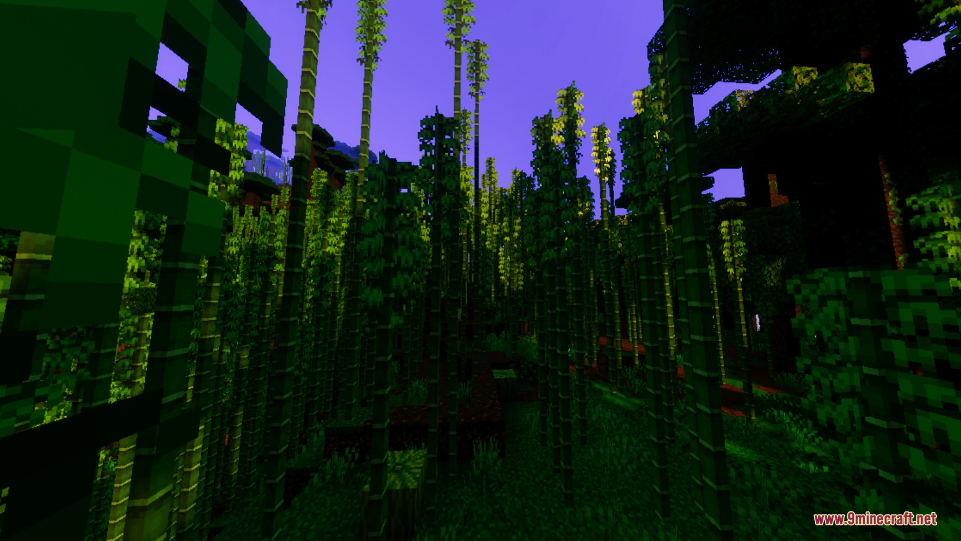 Anima Shader Screenshot 3