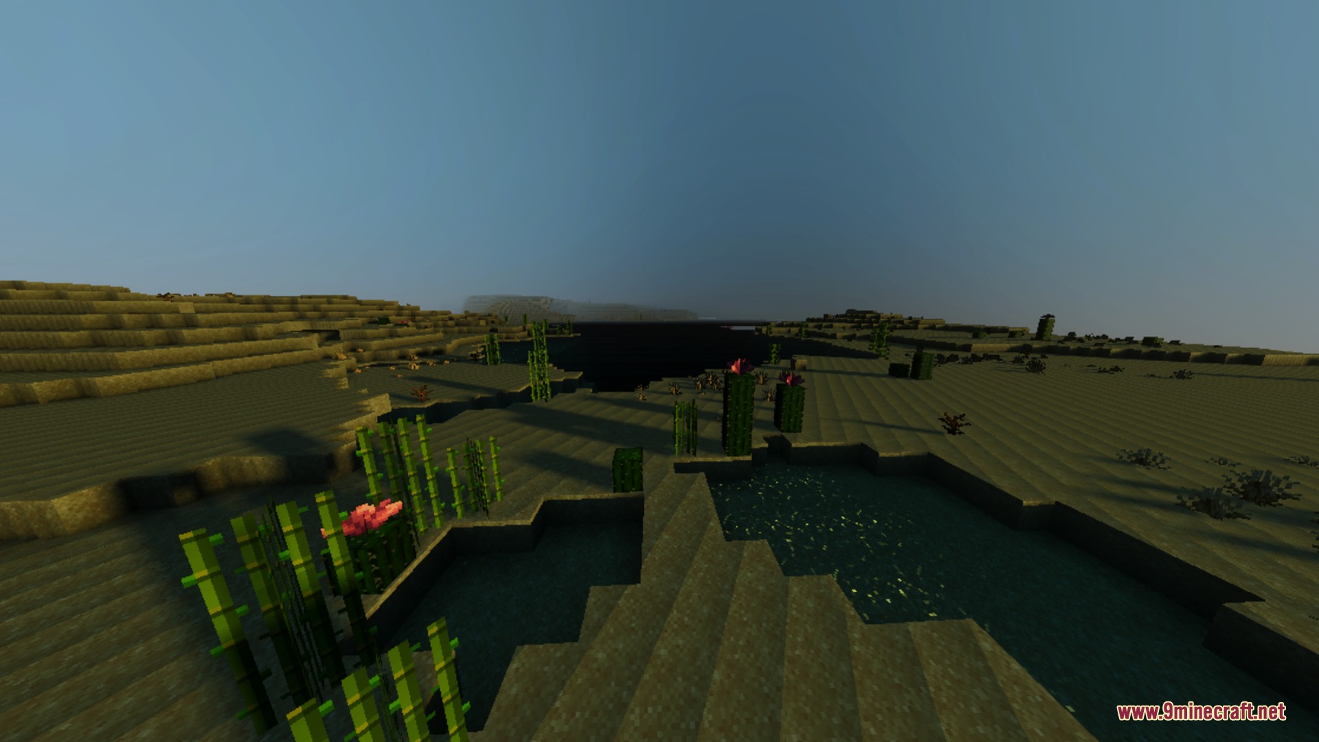 Anima Shader Screenshot 5