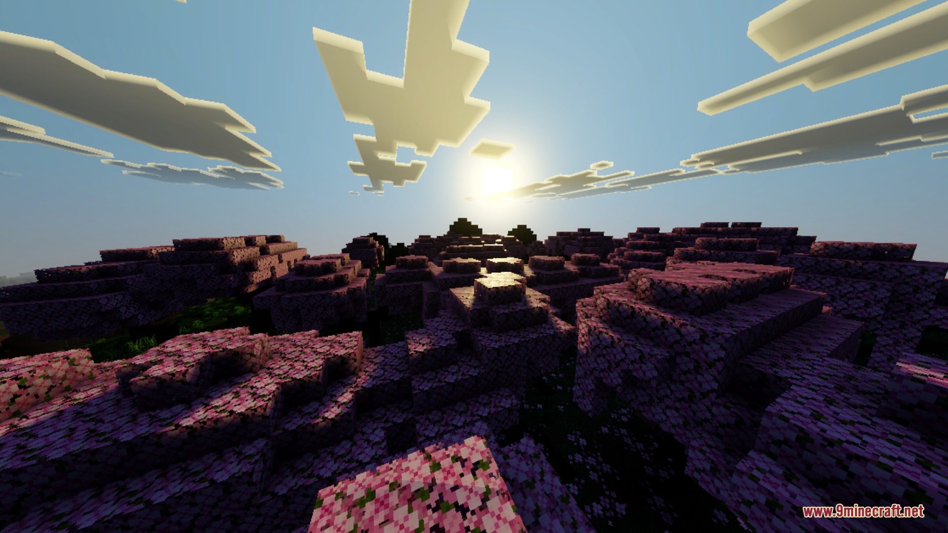 Anima Shader Screenshot 6