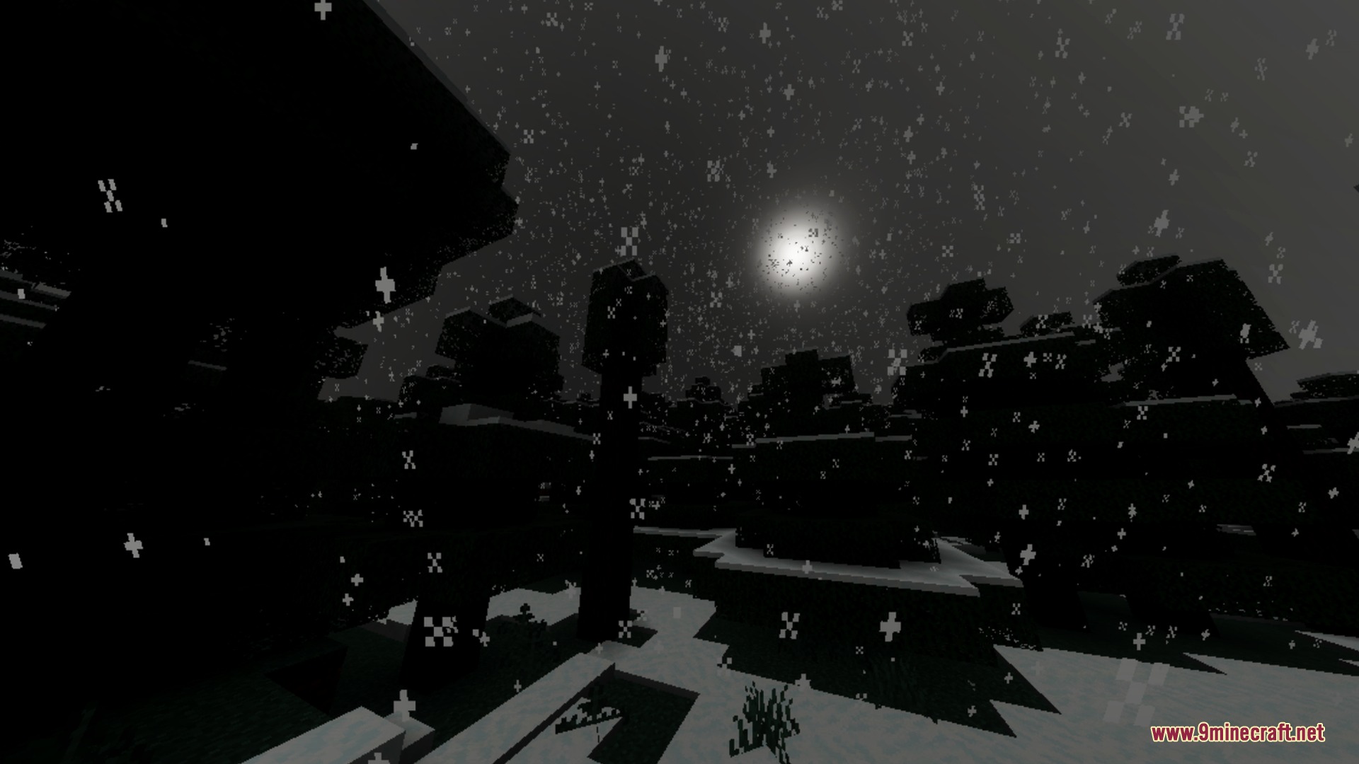 Anima Shader Screenshot 7