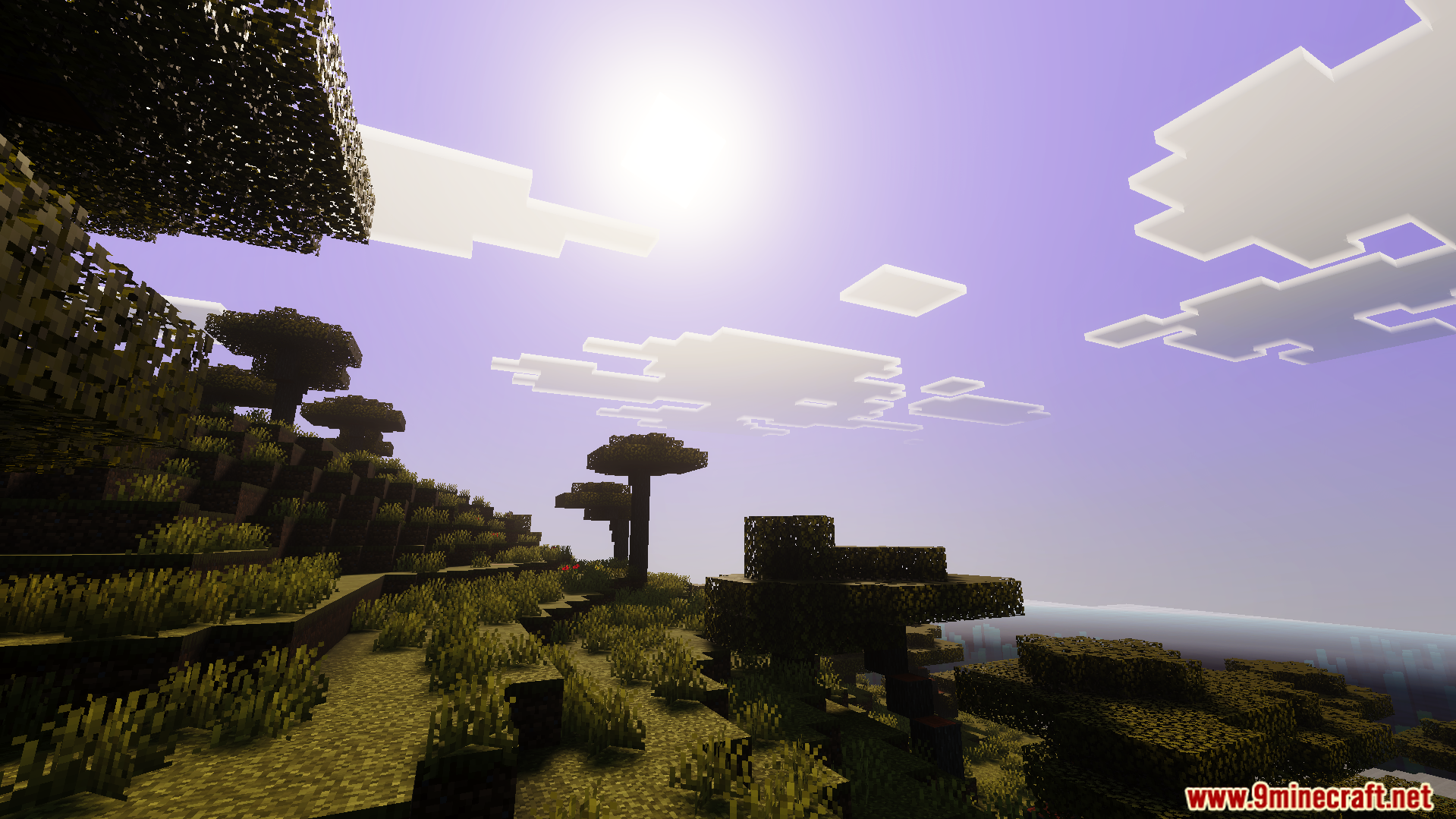 Beautiful sunset sky with realistic shadows and vibrant colors in a savanna biome
