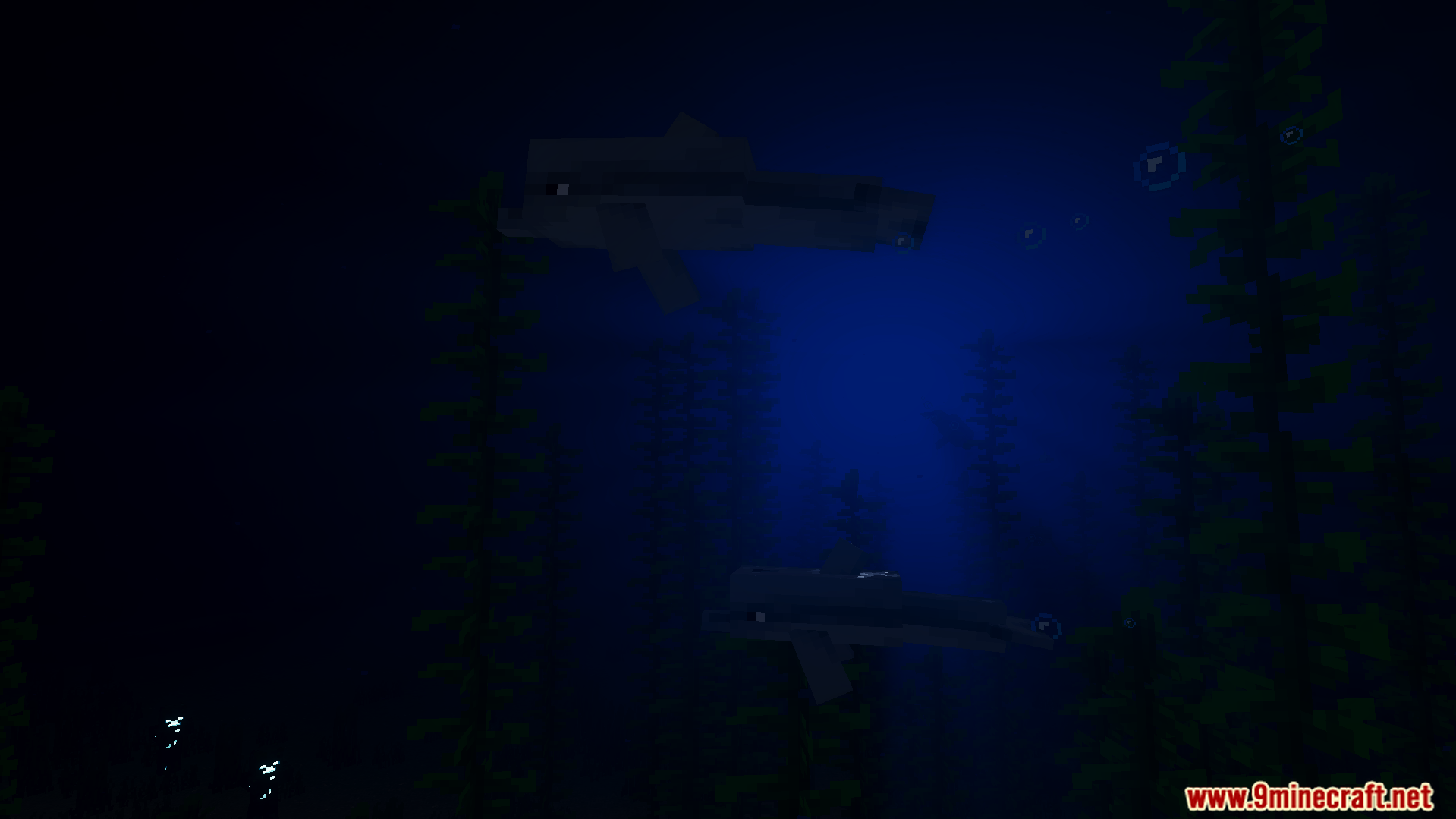 Anima Shader features dynamic water with light rays and dolphins swimming underwater