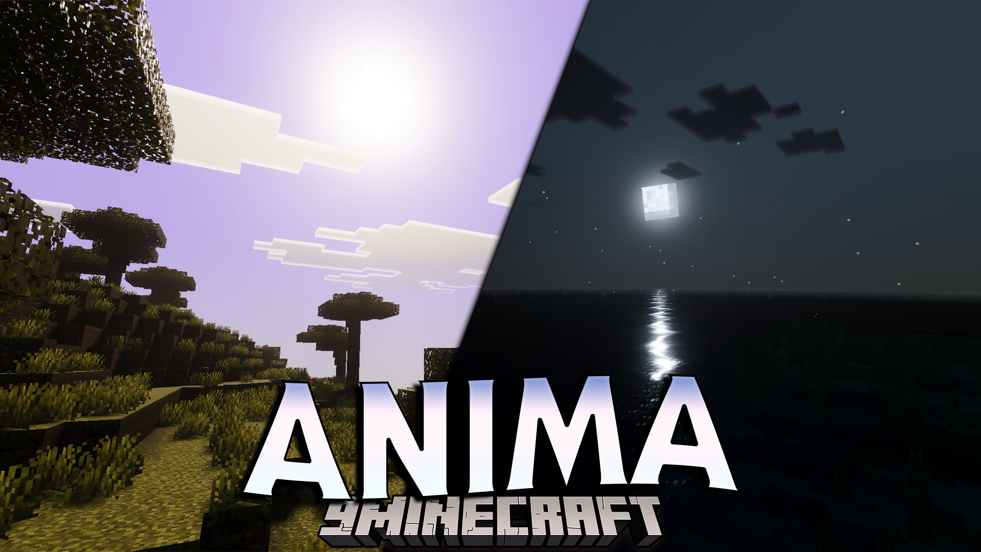 Anima Shader
