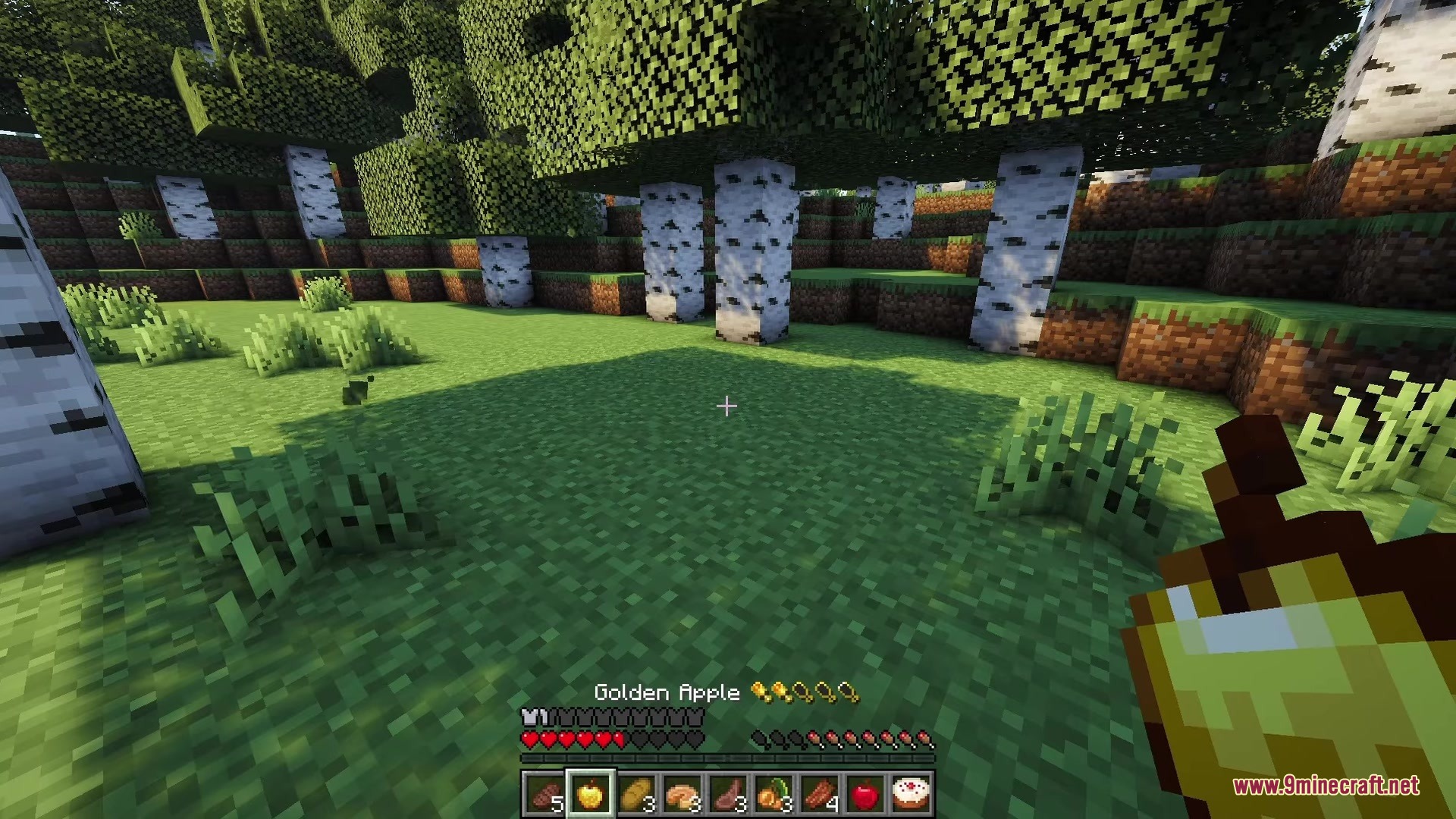 Player holding a golden apple showing hunger and saturation stats on the interface