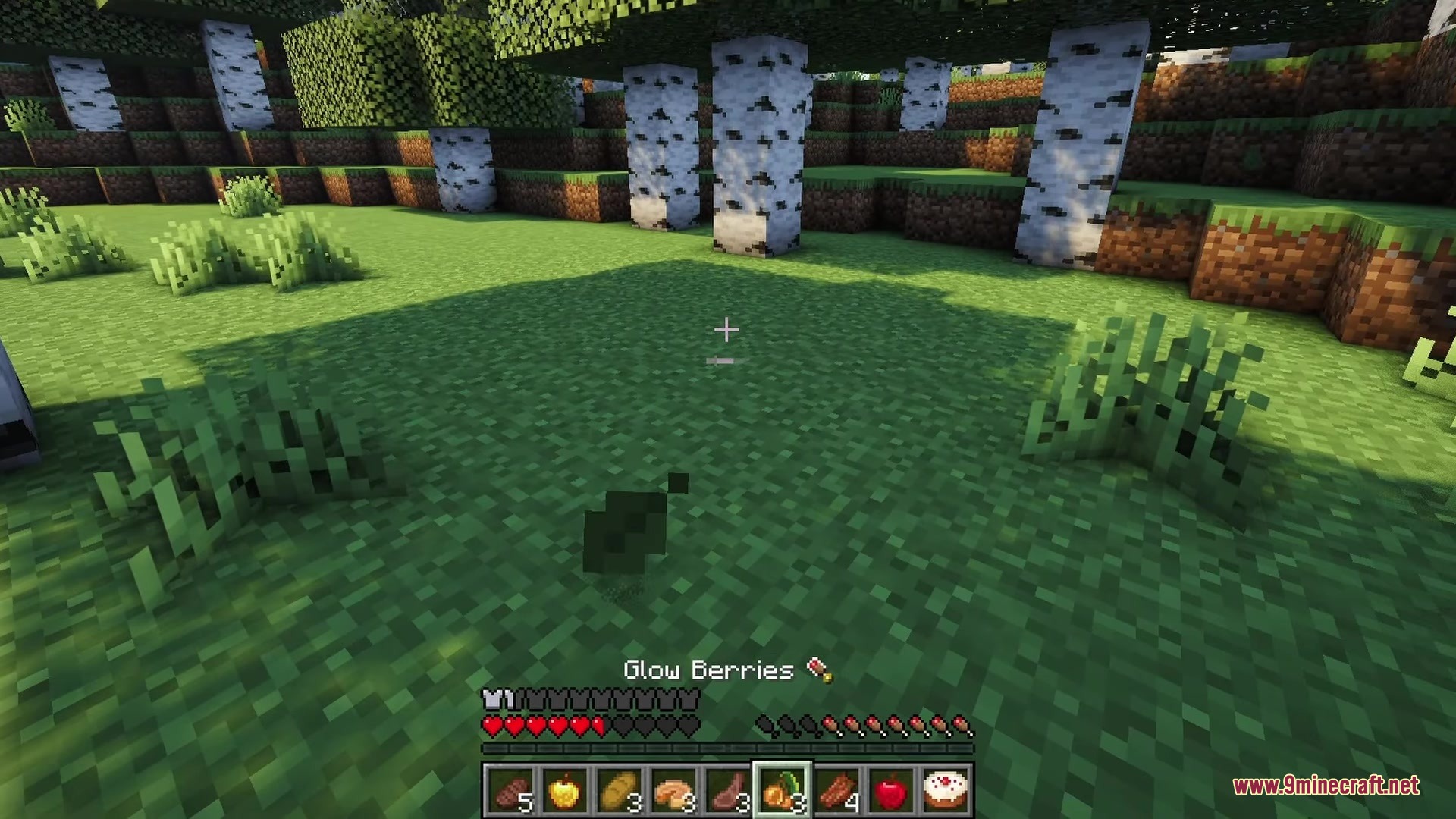 Minecraft player holding glow berries with hunger and saturation icons displayed above the hotbar