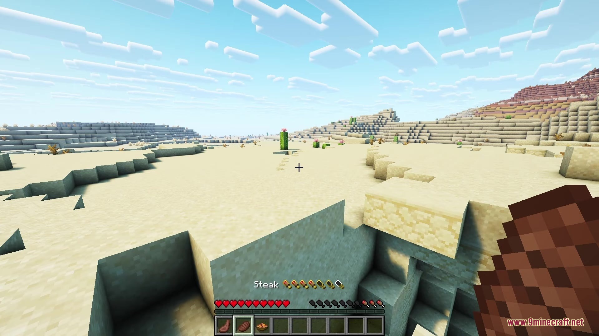 Player holding steak in a desert biome showing hunger and saturation bars