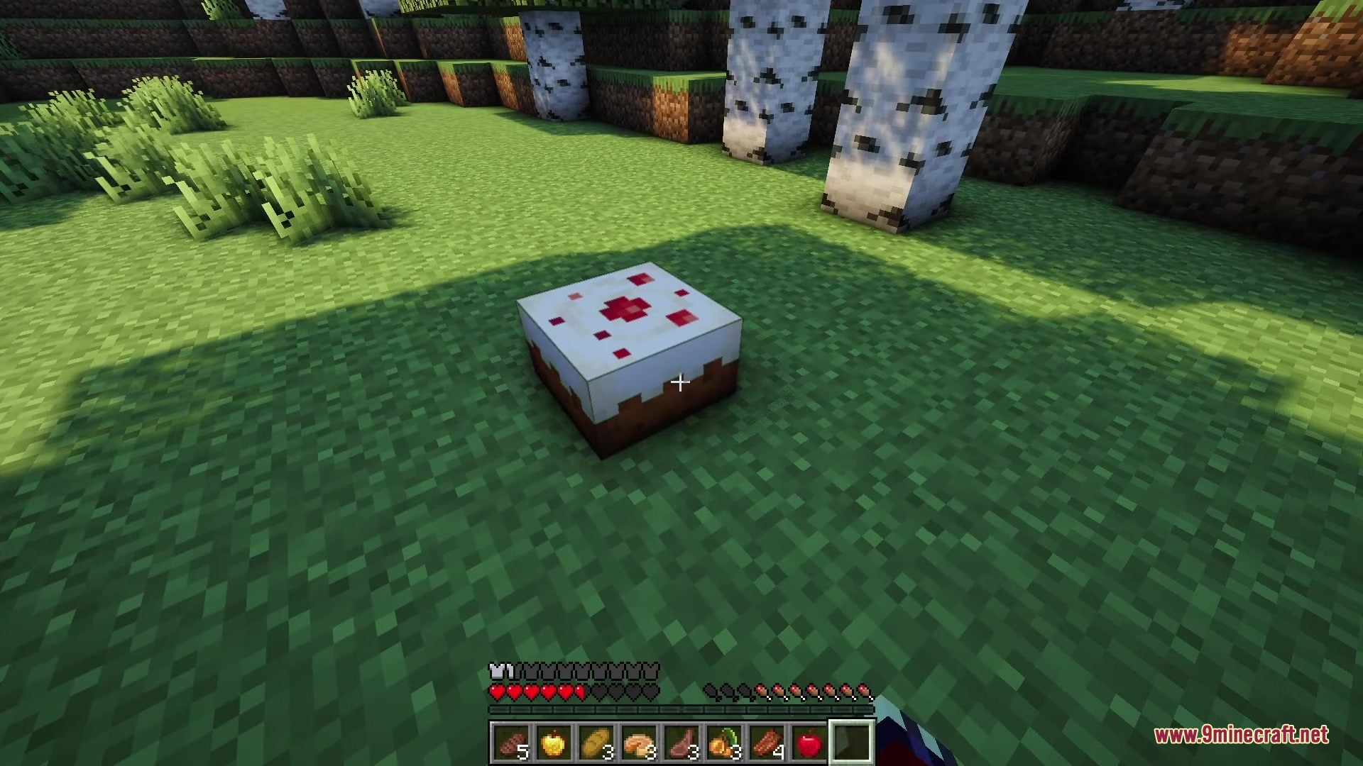 A cake on grass with food items showing hunger stats in the hotbar
