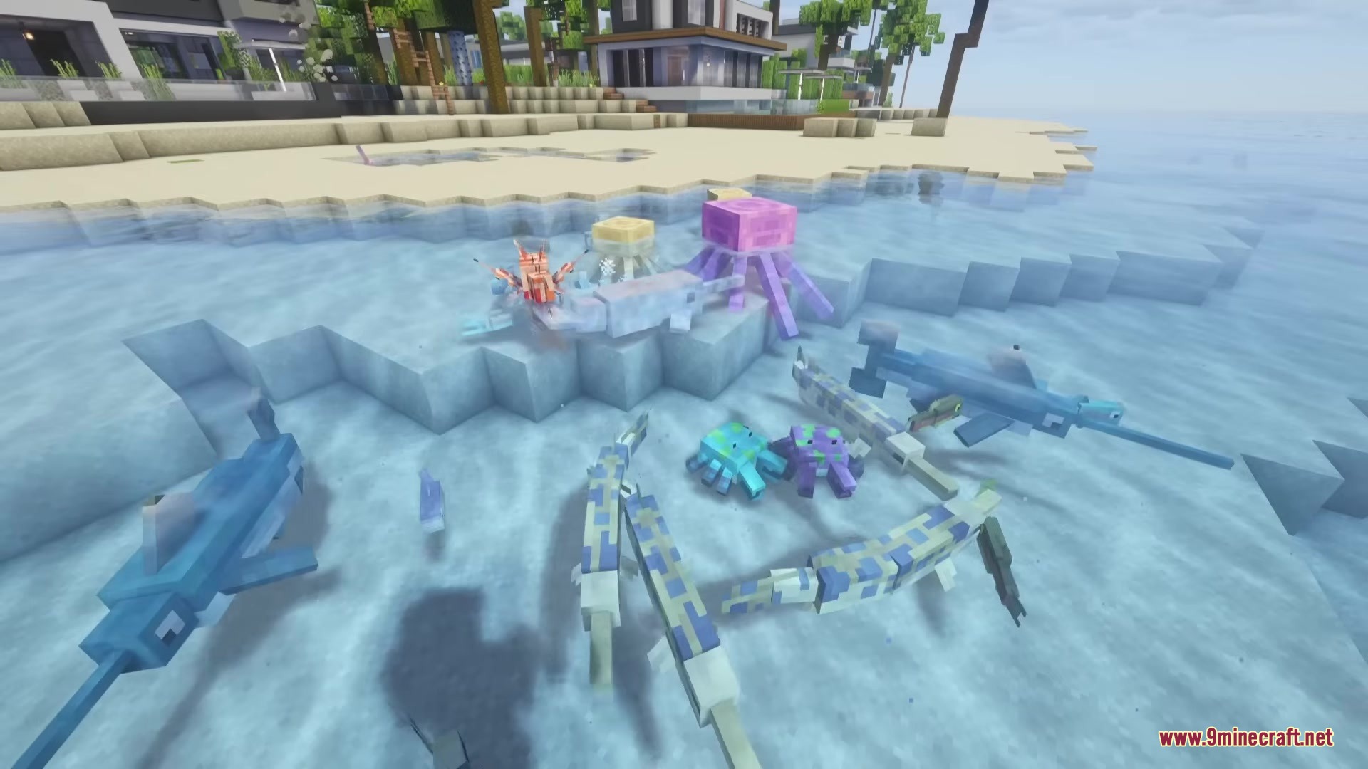 Aquatic Plus Mod Screenshot 4 A collection of swordfish and jellyfish swimming in the shallow beach water