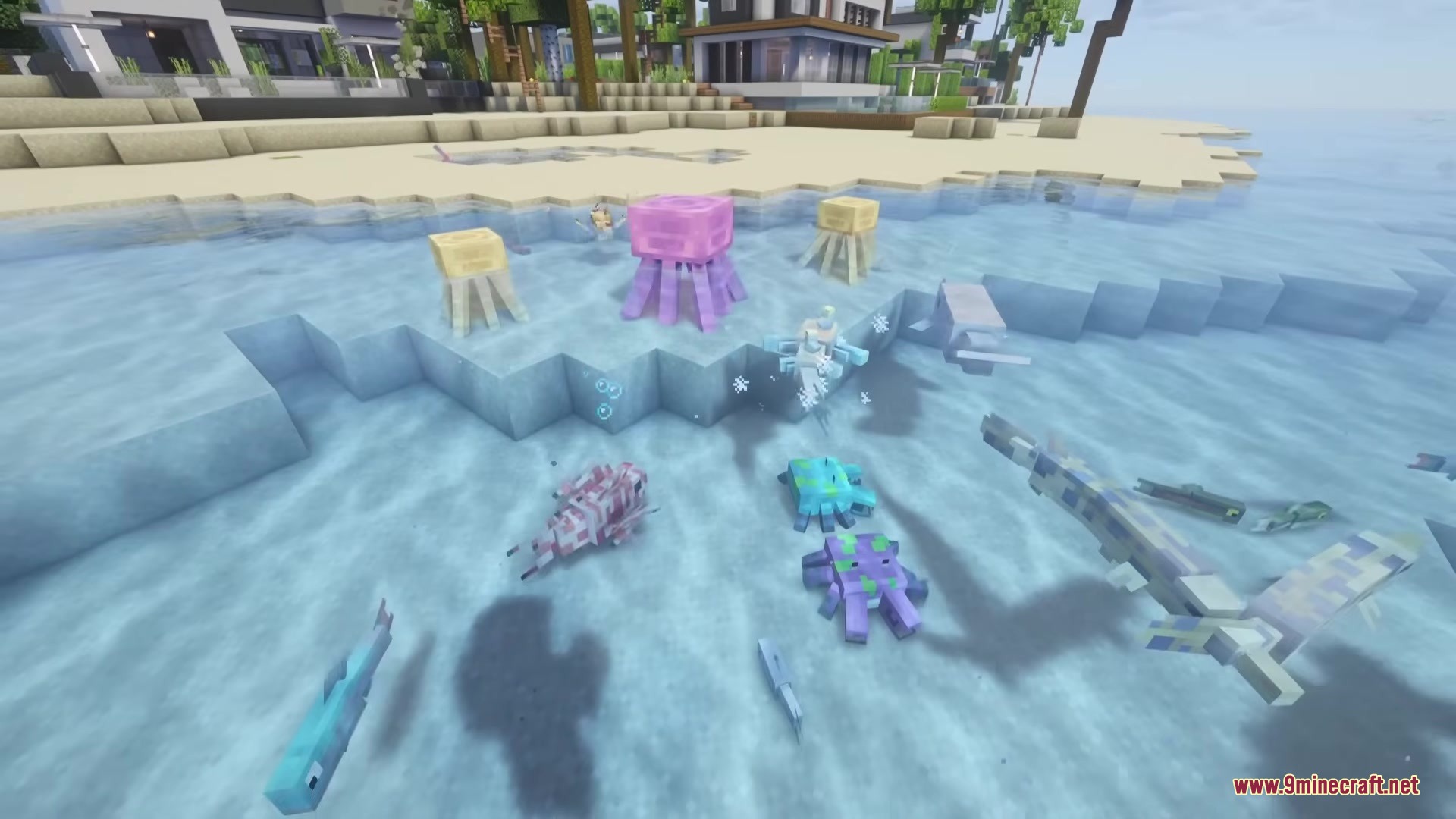 Aquatic Plus Mod Screenshot 5 Colorful aquatic creatures swimming in the shallow ocean water near a sandy beach