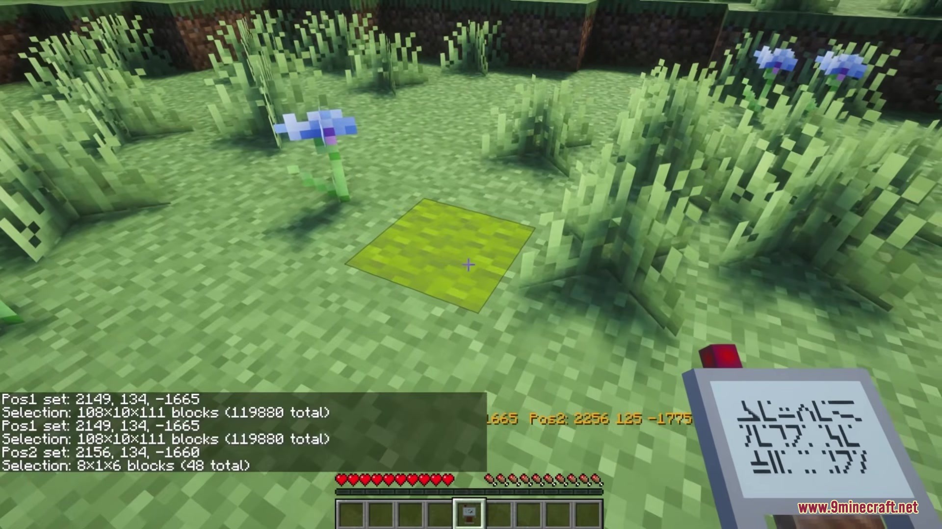 Arcadia Guard Mod Screenshot 2 Player using the Arcadia Guard wand to select a safe zone on grass