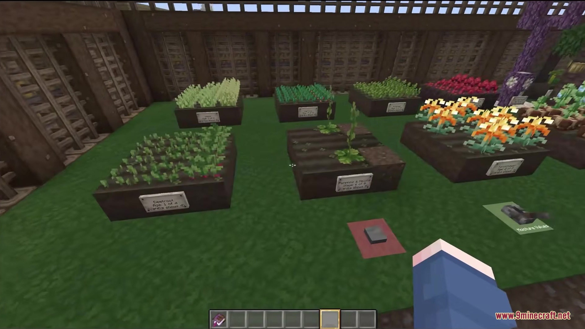 Various crops in wooden garden beds with signs in a medieval setting