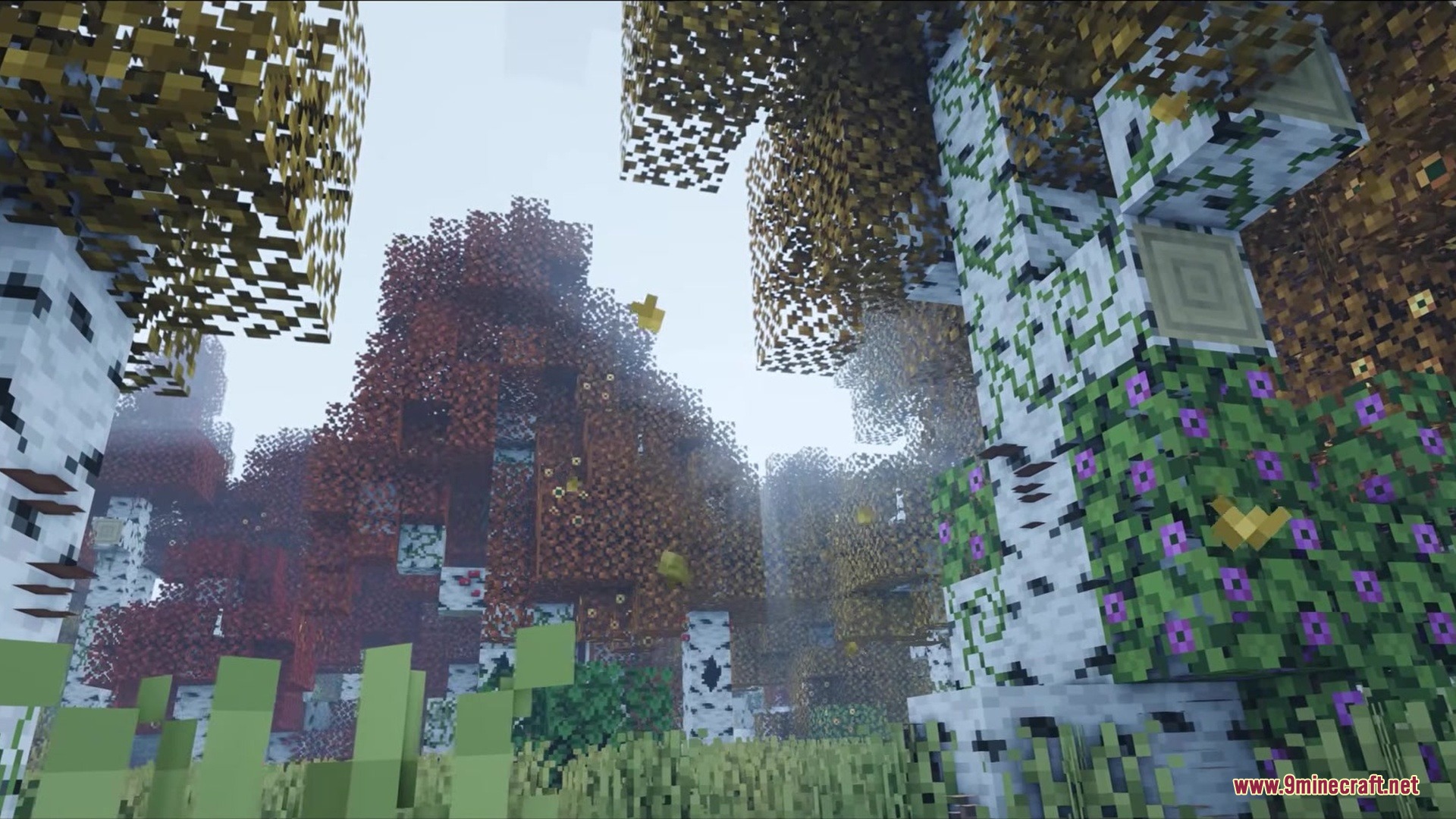 Auth Back Mod Screenshot 10 Vibrant autumn leaves and purple flowers on birch trees in a Minecraft biome