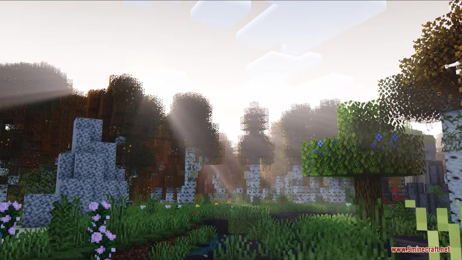 Auth Back Mod Screenshot 9 Sunbeams shining through the leaves of birch trees in a dense Minecraft forest