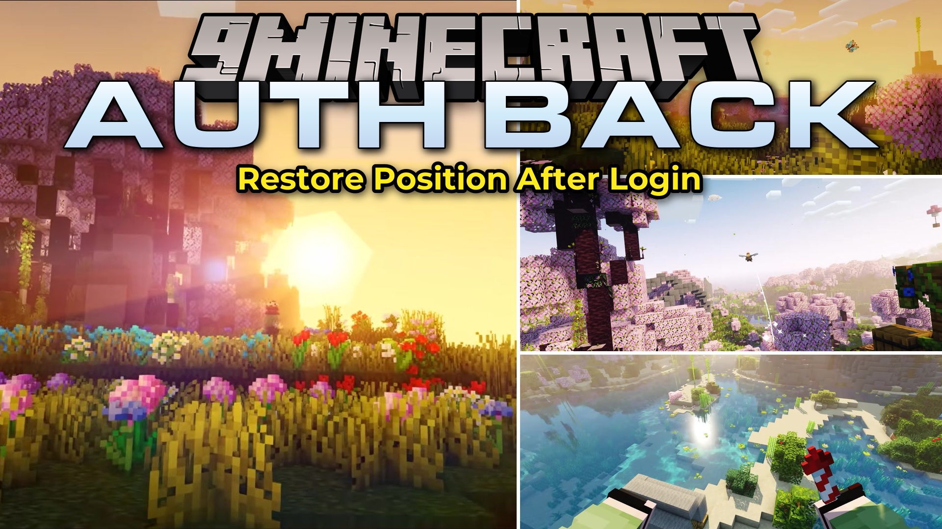 Auth Back Mod