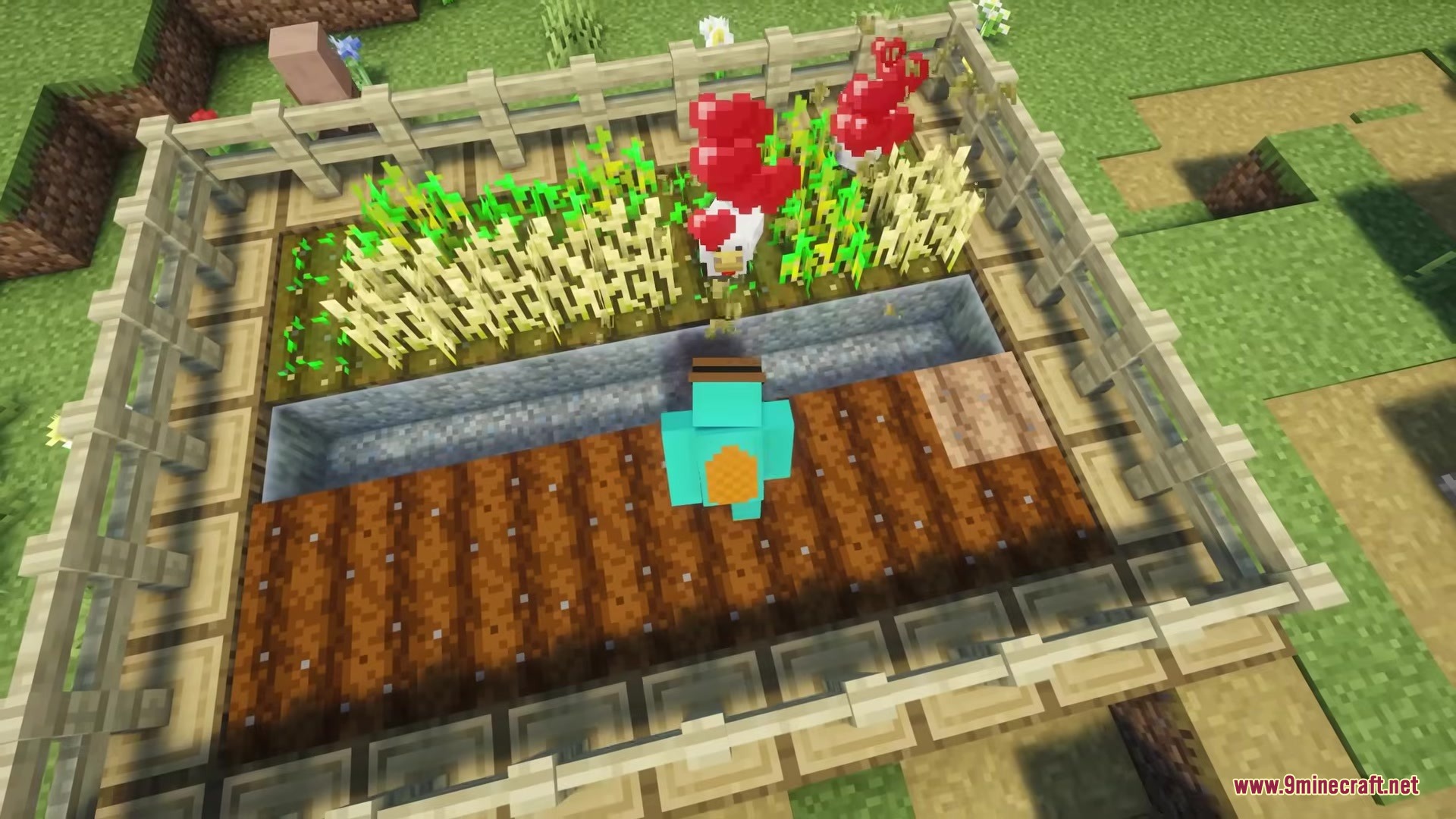 Auto Feed Animals Mod Screenshot 1 Minecraft player standing in a fenced farm with crops and breeding chickens