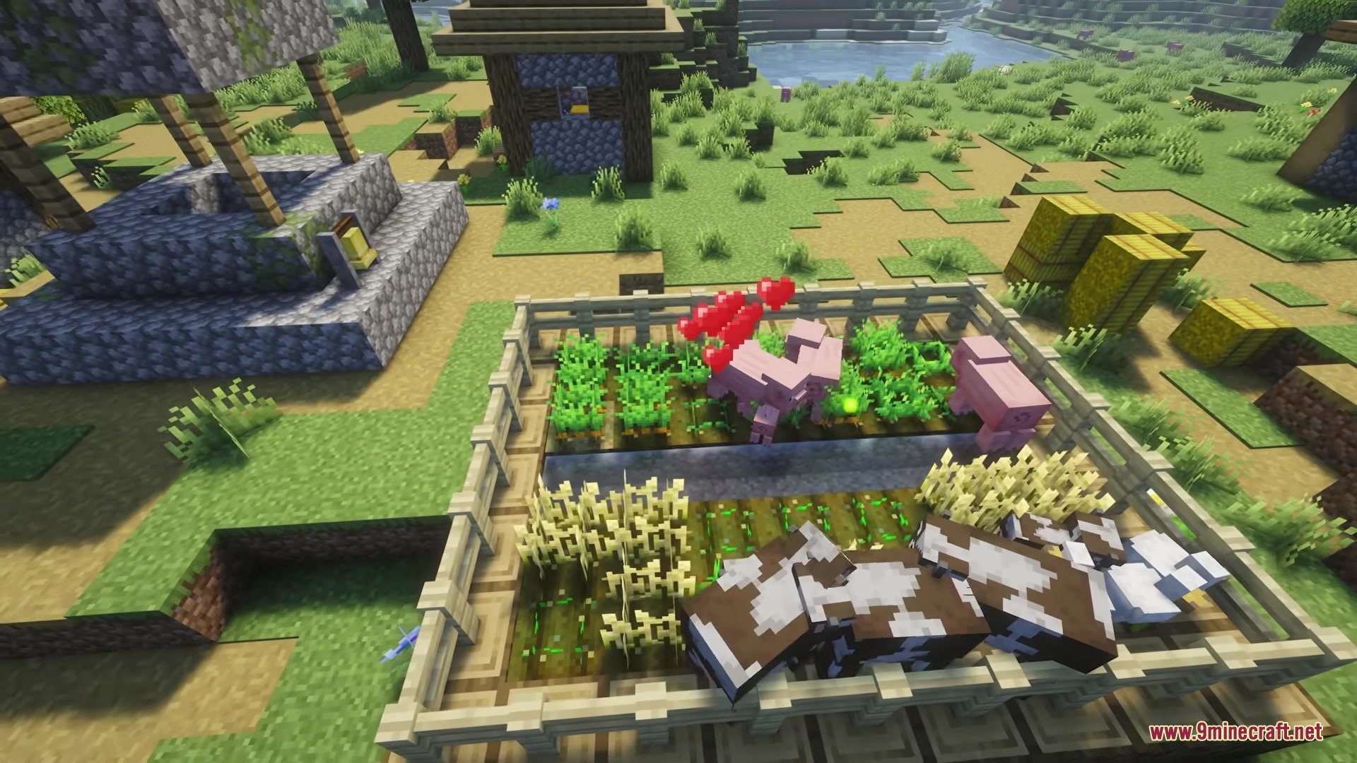 Auto Feed Animals Mod Screenshot 3 Pigs and cows breeding automatically inside a fenced crop field area