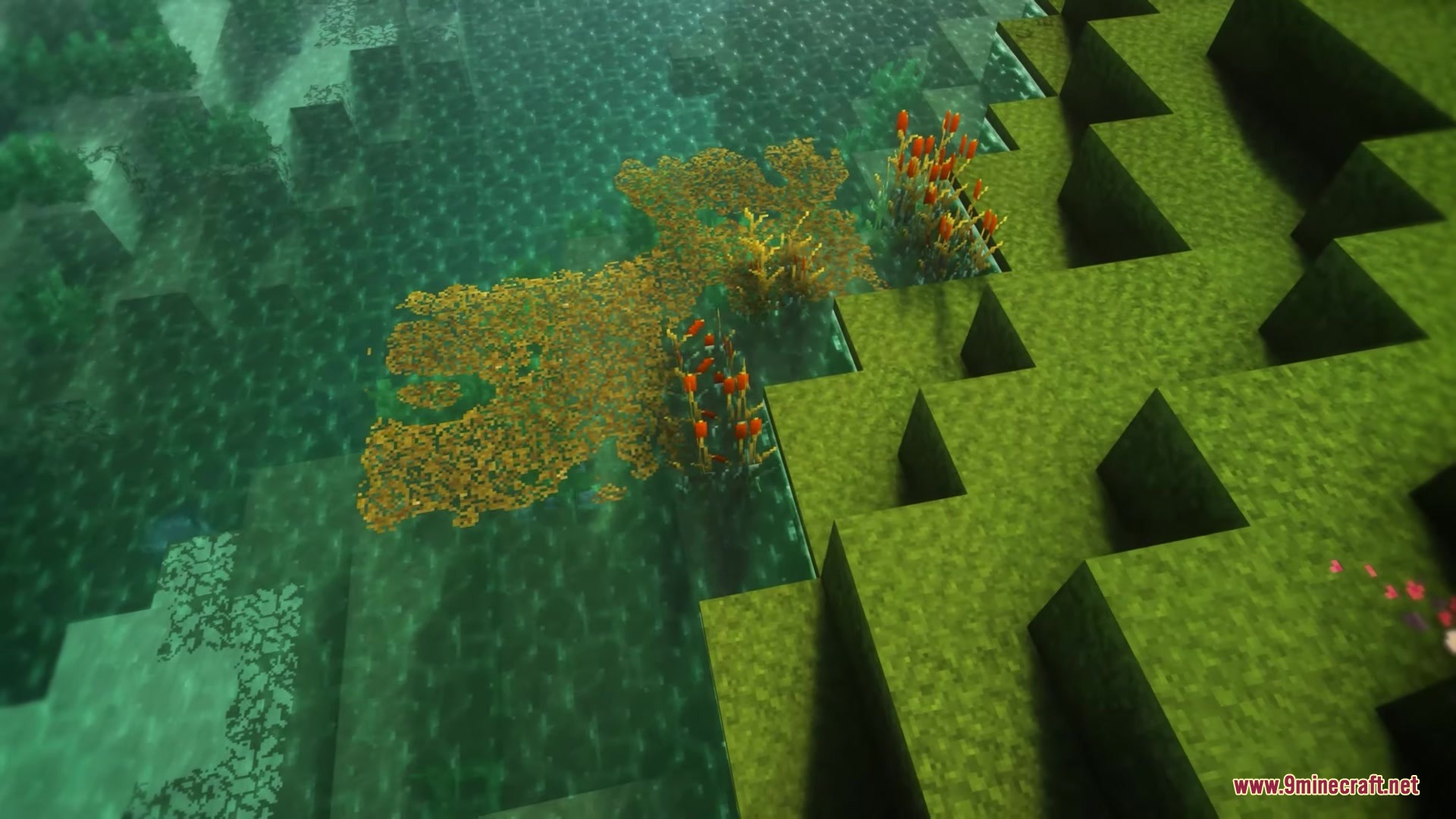 Avalon 32x Resource Pack Screenshot 6 Clear green water showing colorful coral and plants near a grassy bank