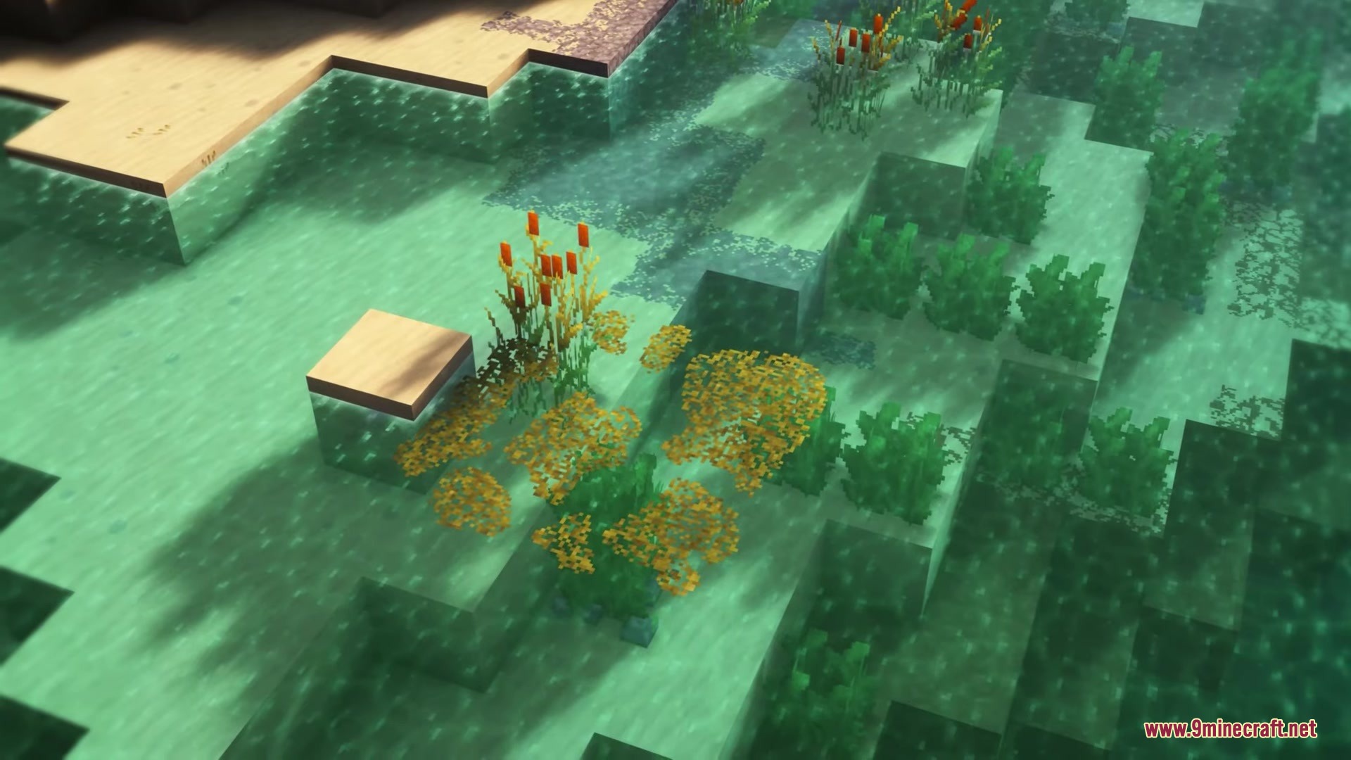 Avalon 32x Resource Pack Screenshot 7 Vibrant aquatic plants and yellow flowers grow in clear water with fantasy textures