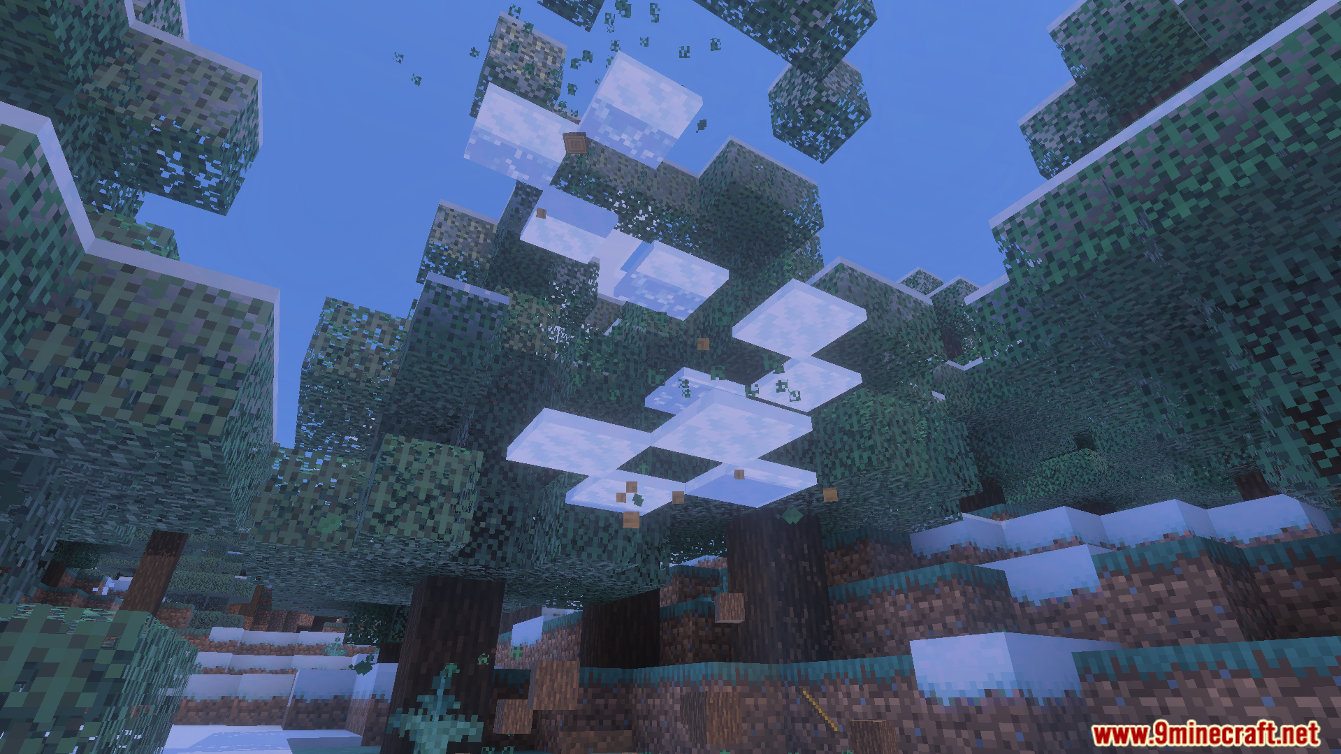 Floating leaves and snow layers after the tree trunk is gone