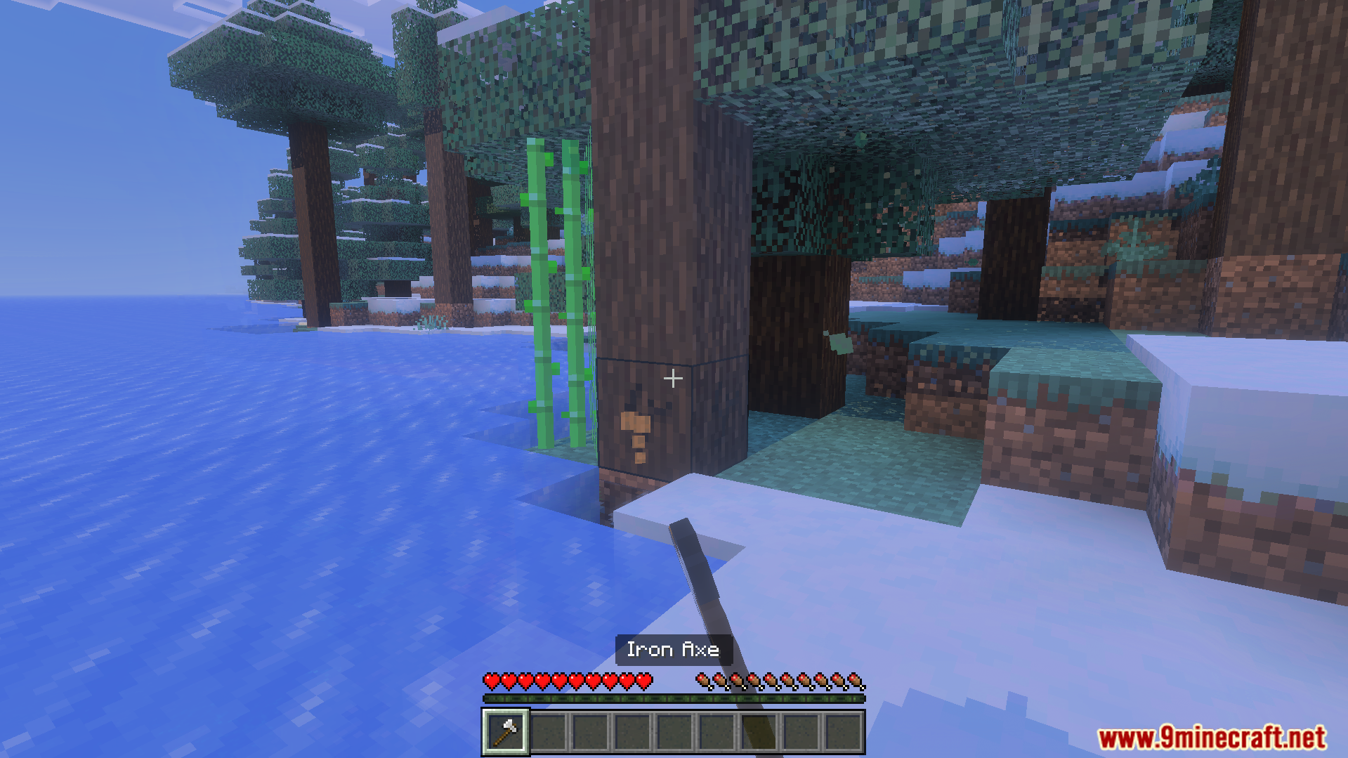 Player holding an iron axe while standing in a snowy forest biome