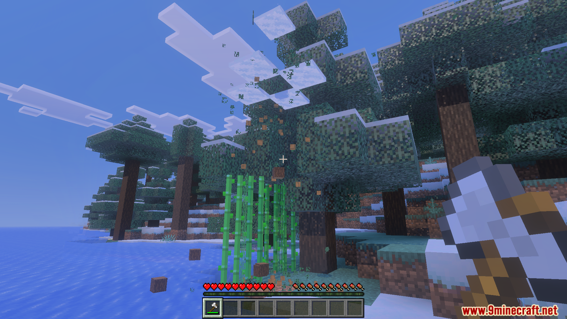 Player chops a tree and wood blocks fall using Bedrock Tree Capitator Addon
