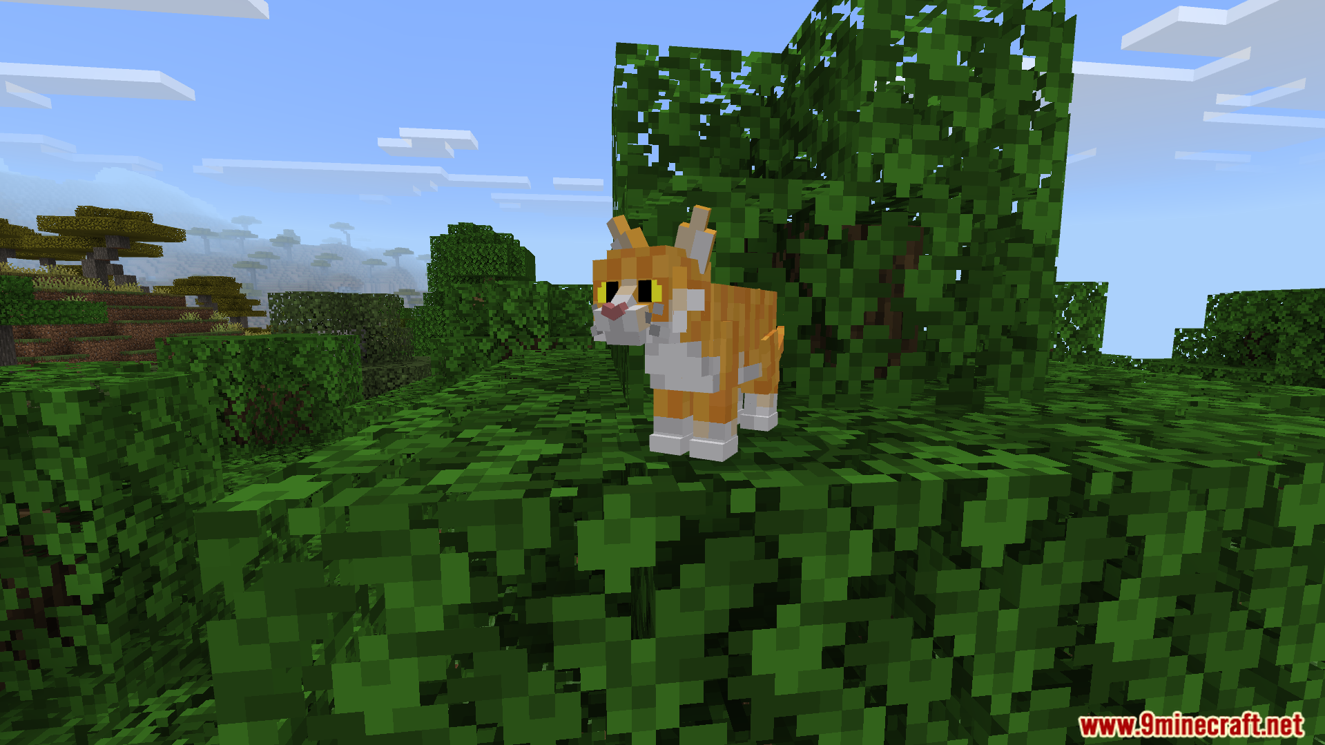 Better Cats Texture Pack Screenshot 2 A ginger cat with custom features standing on top of green tree leaves