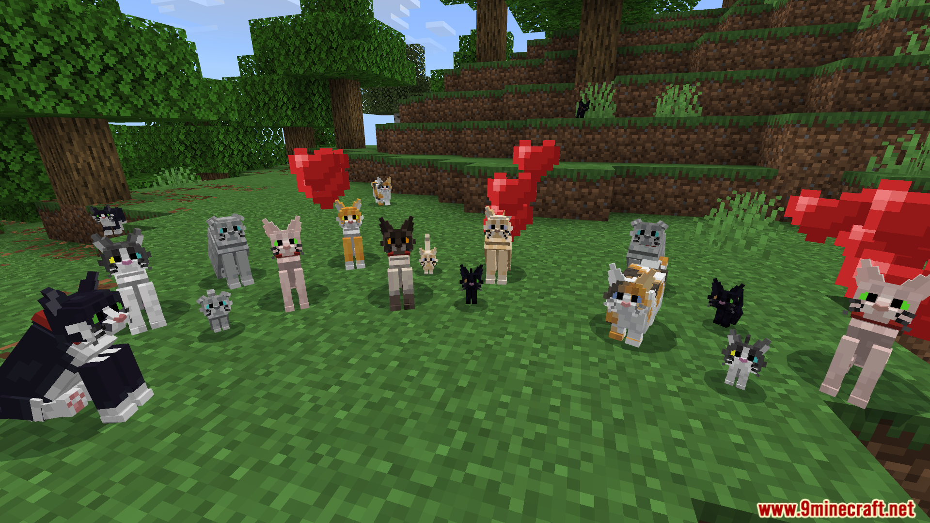 Better Cats Texture Pack Screenshot 4 Better Cats Texture Pack adds many unique feline variations with different eye colors