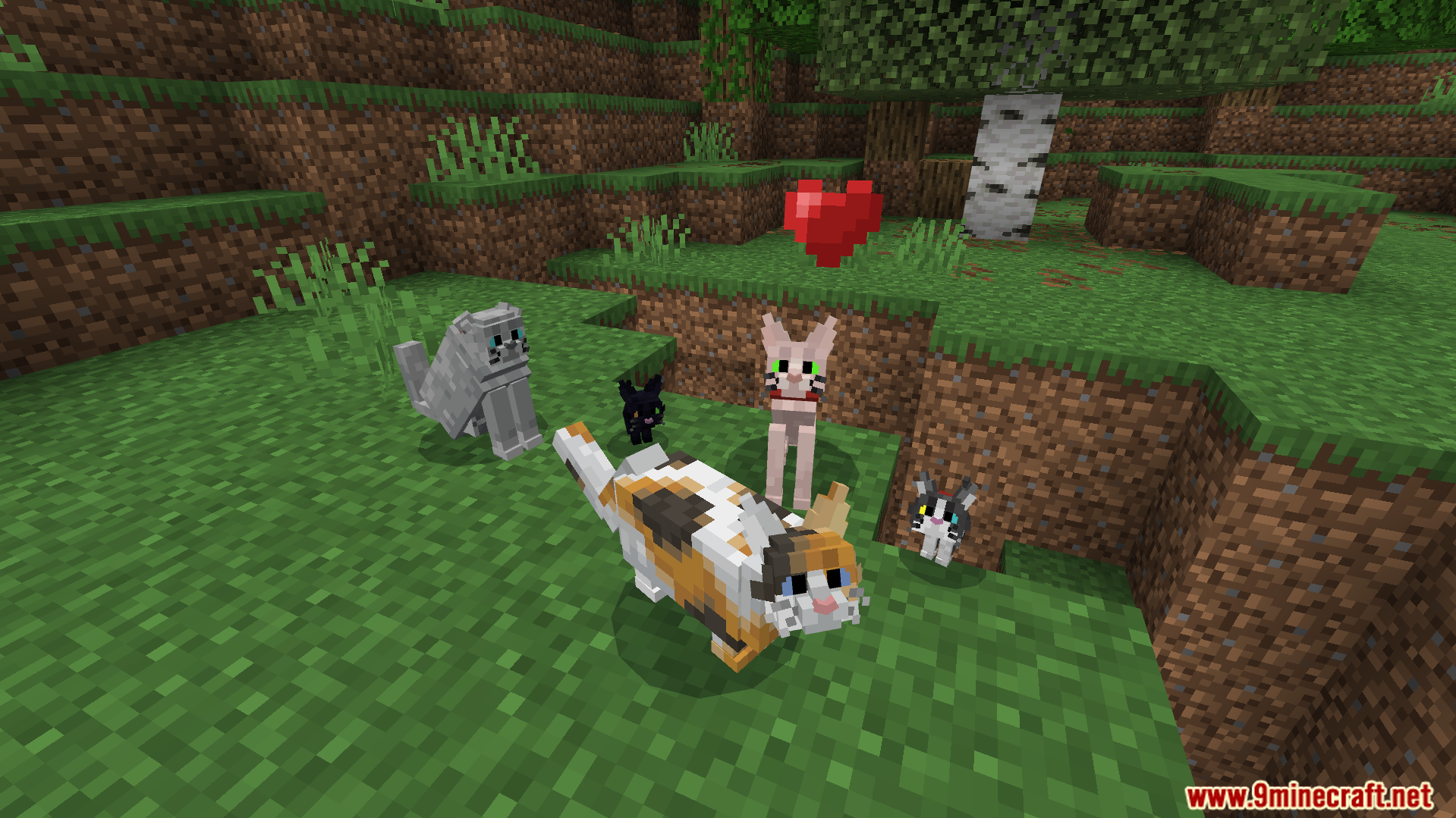 Better Cats Texture Pack Screenshot 5 The pack adds many unique feline variations to the game