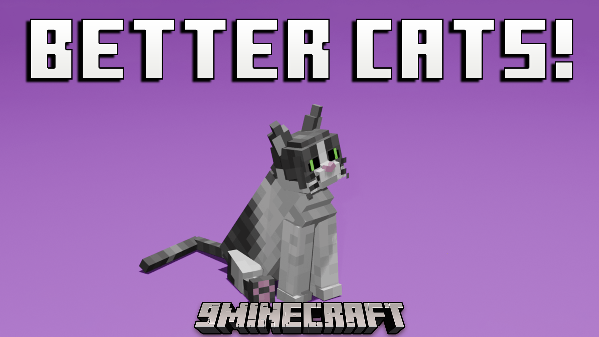 Better Cats Texture Pack