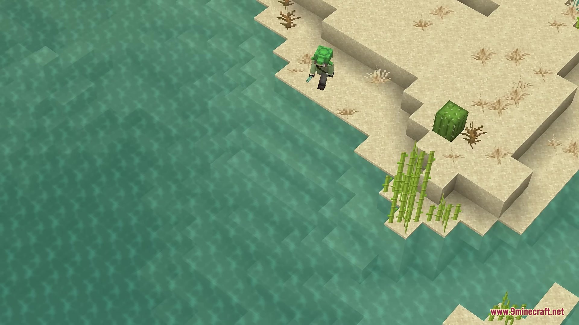 Better Diminishing Tools Resource Pack Screenshot 3 A Minecraft player stands on a sandy beach near water and a cactus