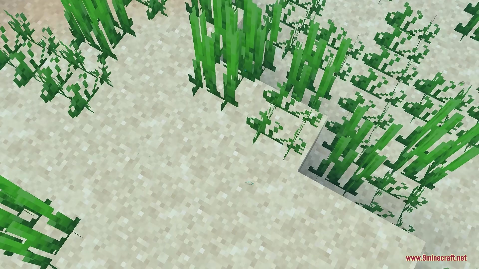 Better Diminishing Tools Resource Pack Screenshot 7 Green seagrass plants growing on a sandy block at the bottom of the ocean