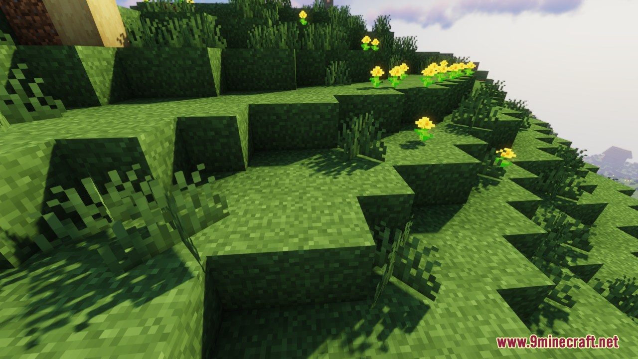 Yellow flowers placed on a grassy slope with smooth connected grass textures